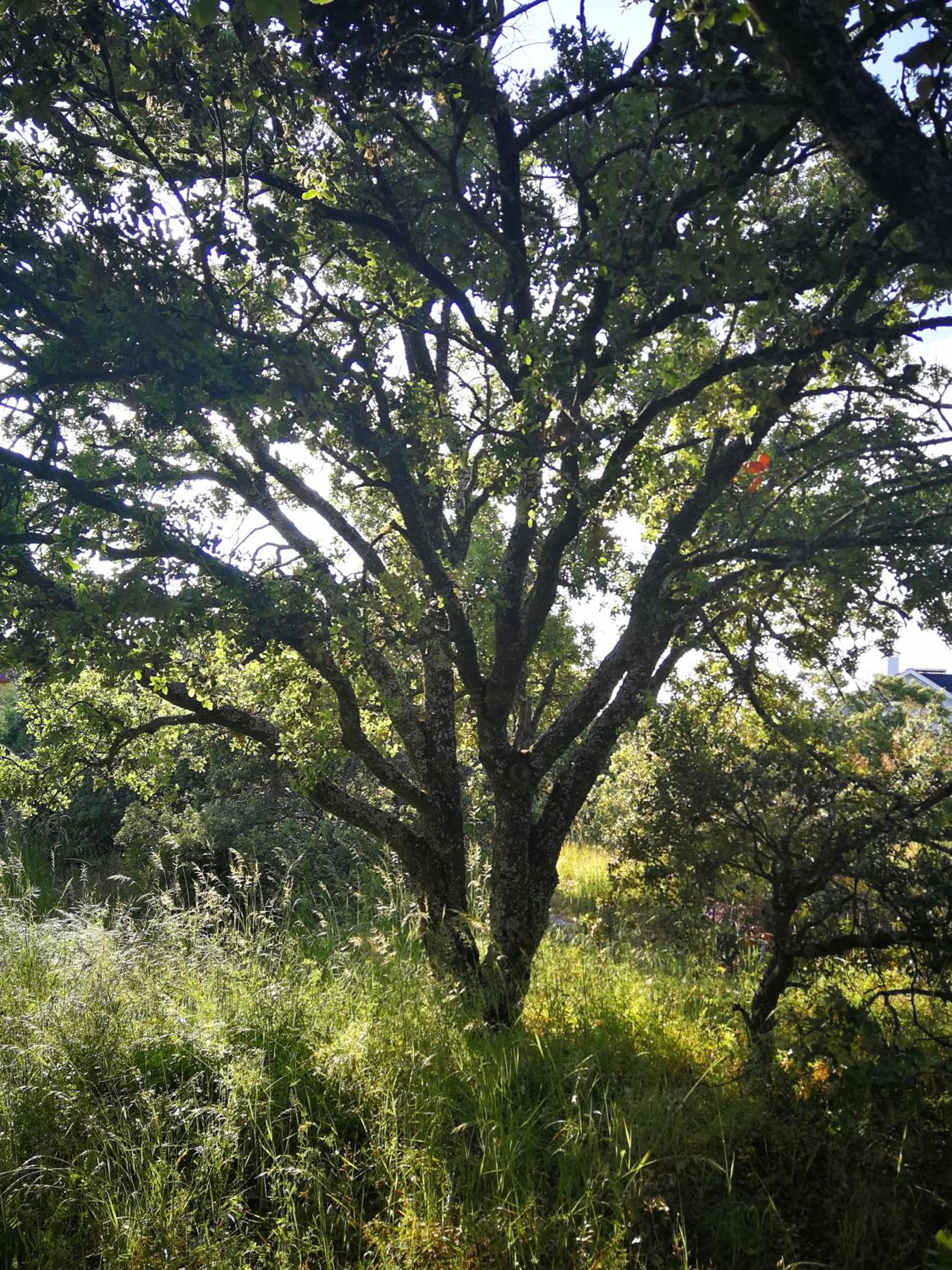 Photo 45