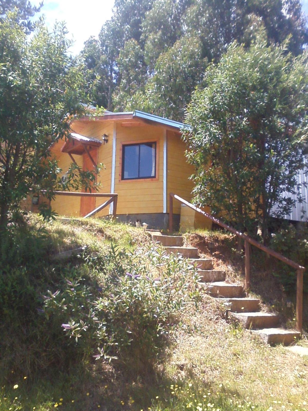 Cabanas Valdivia - Tres Espinos - camino a Niebla