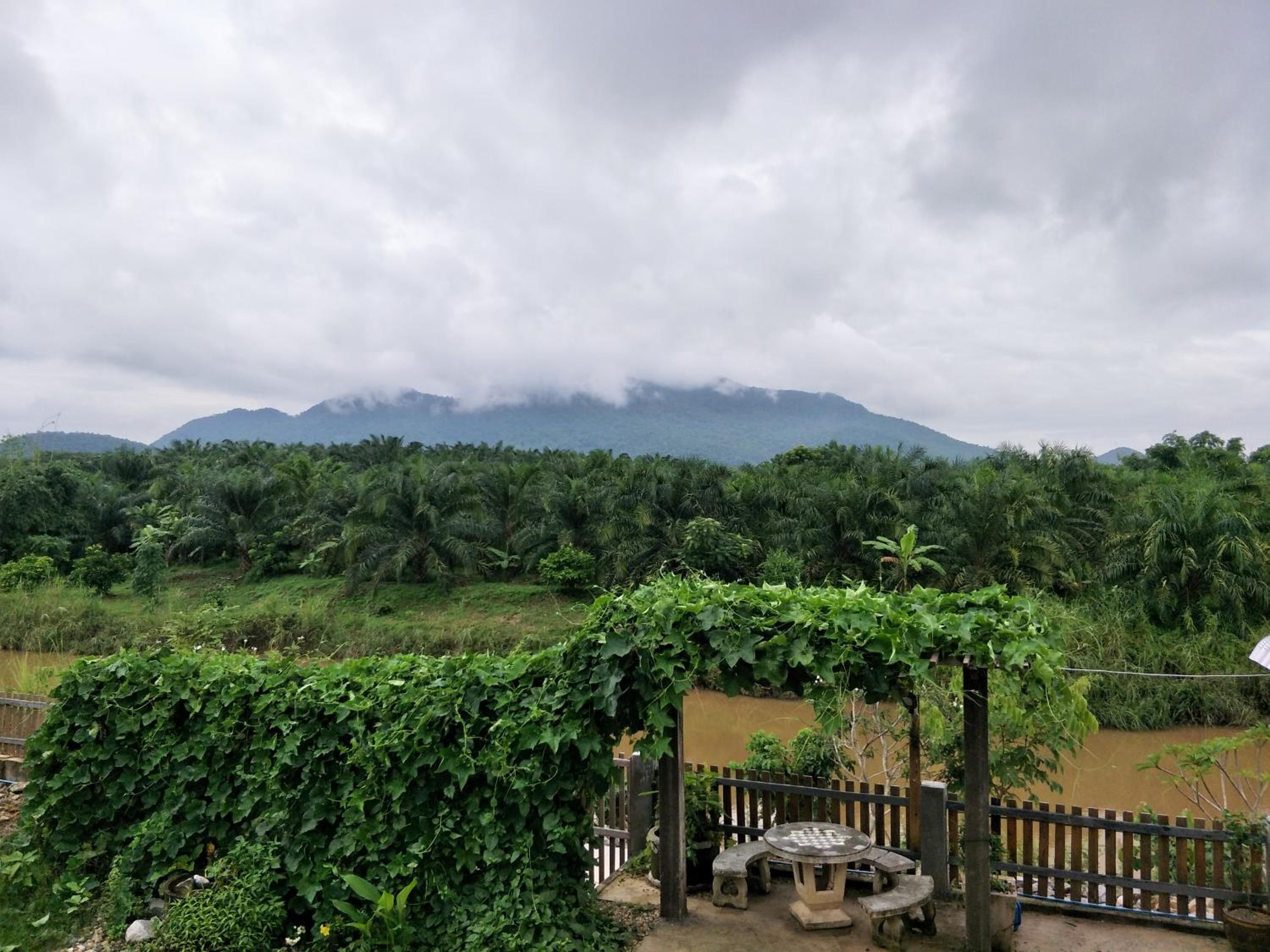 Teak villa