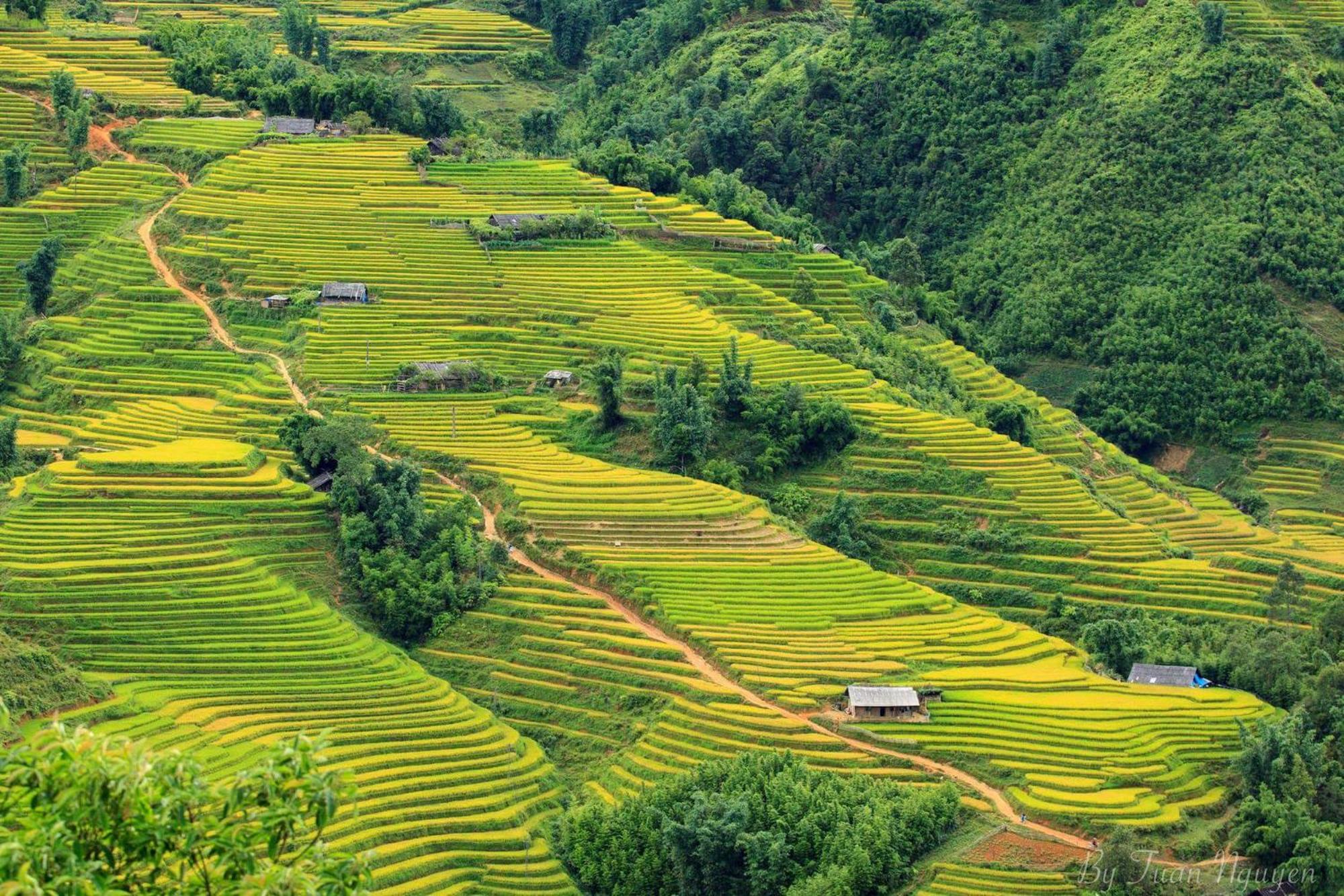 Tavan View Homestay