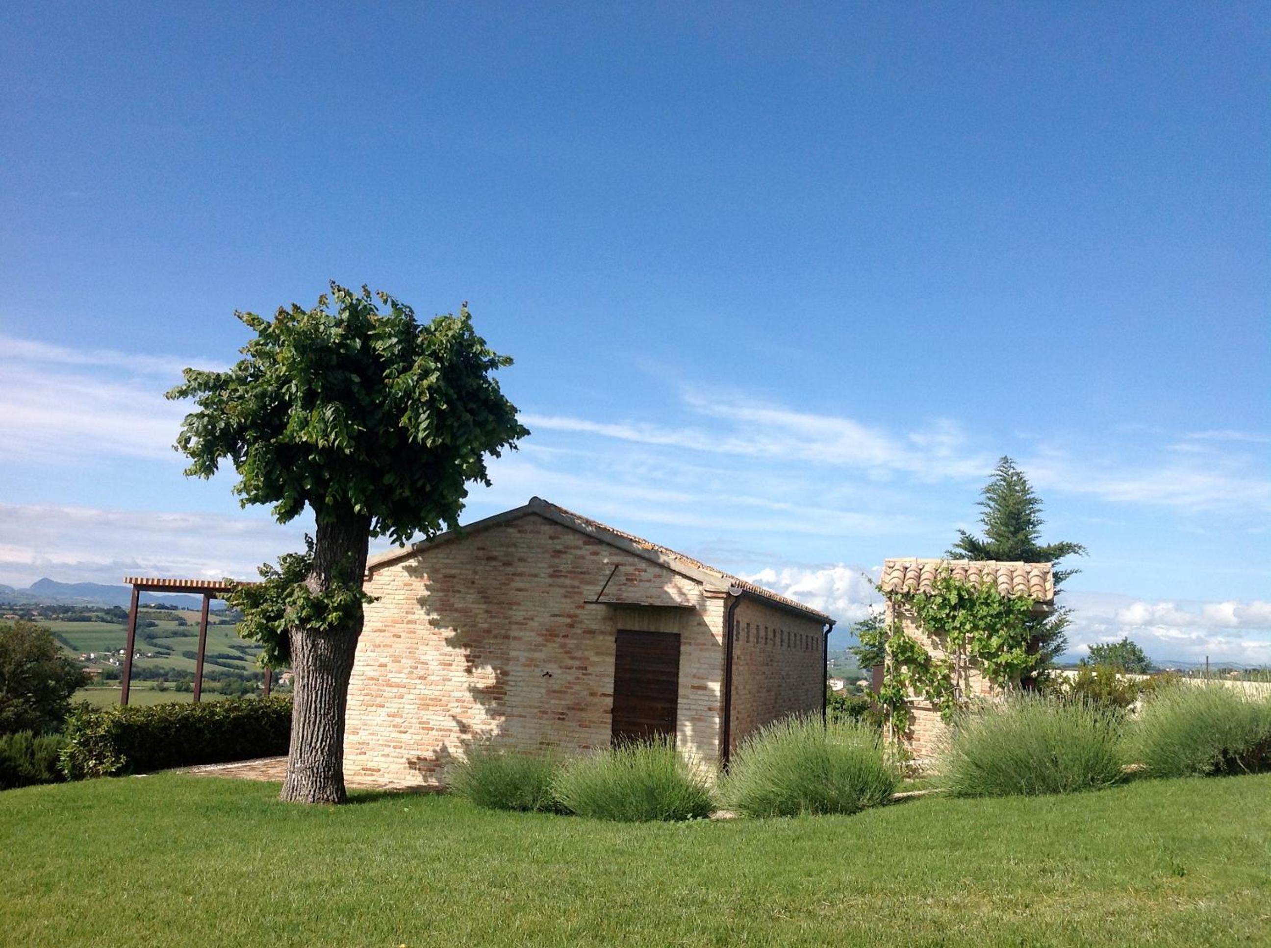 Photo 16
