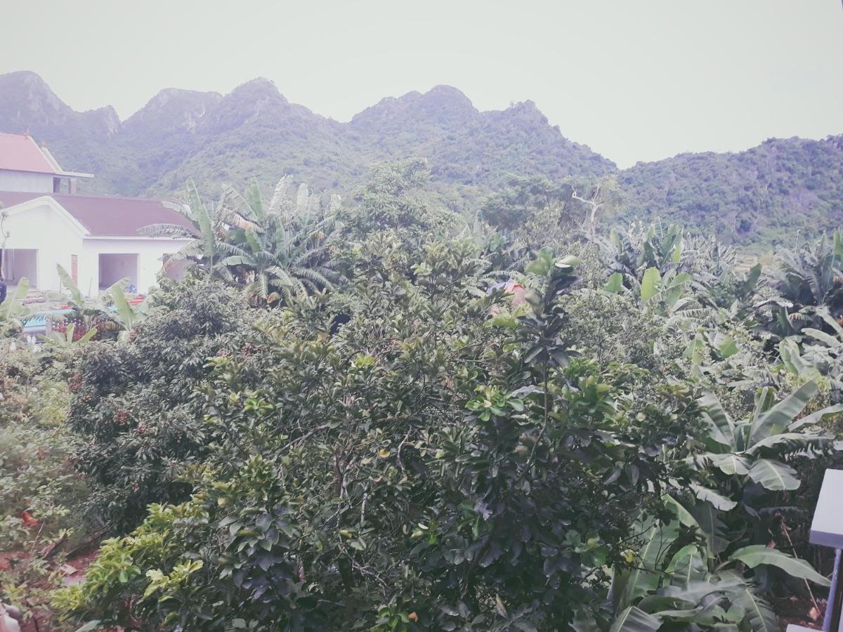 garden
