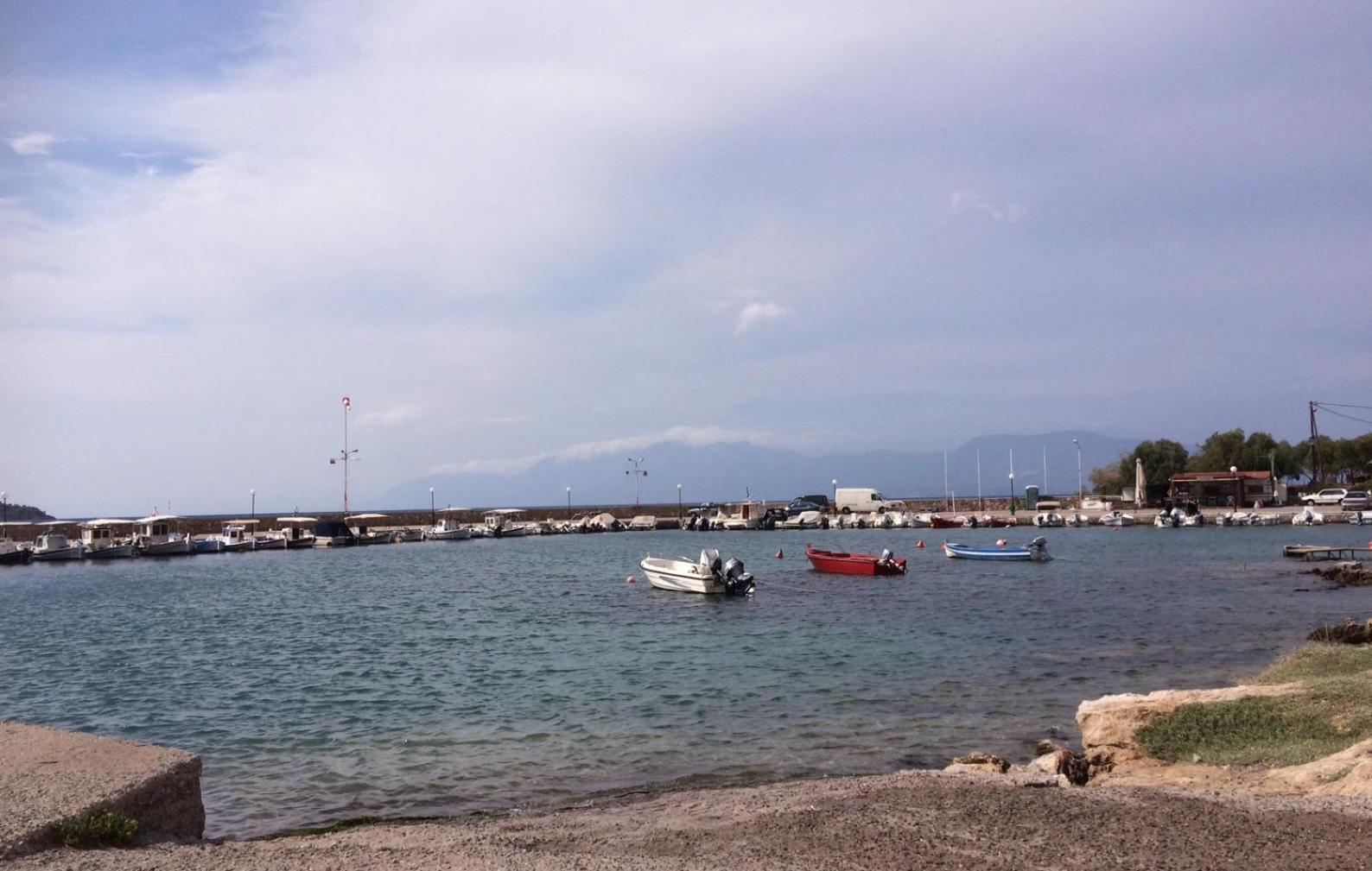 Photo 41