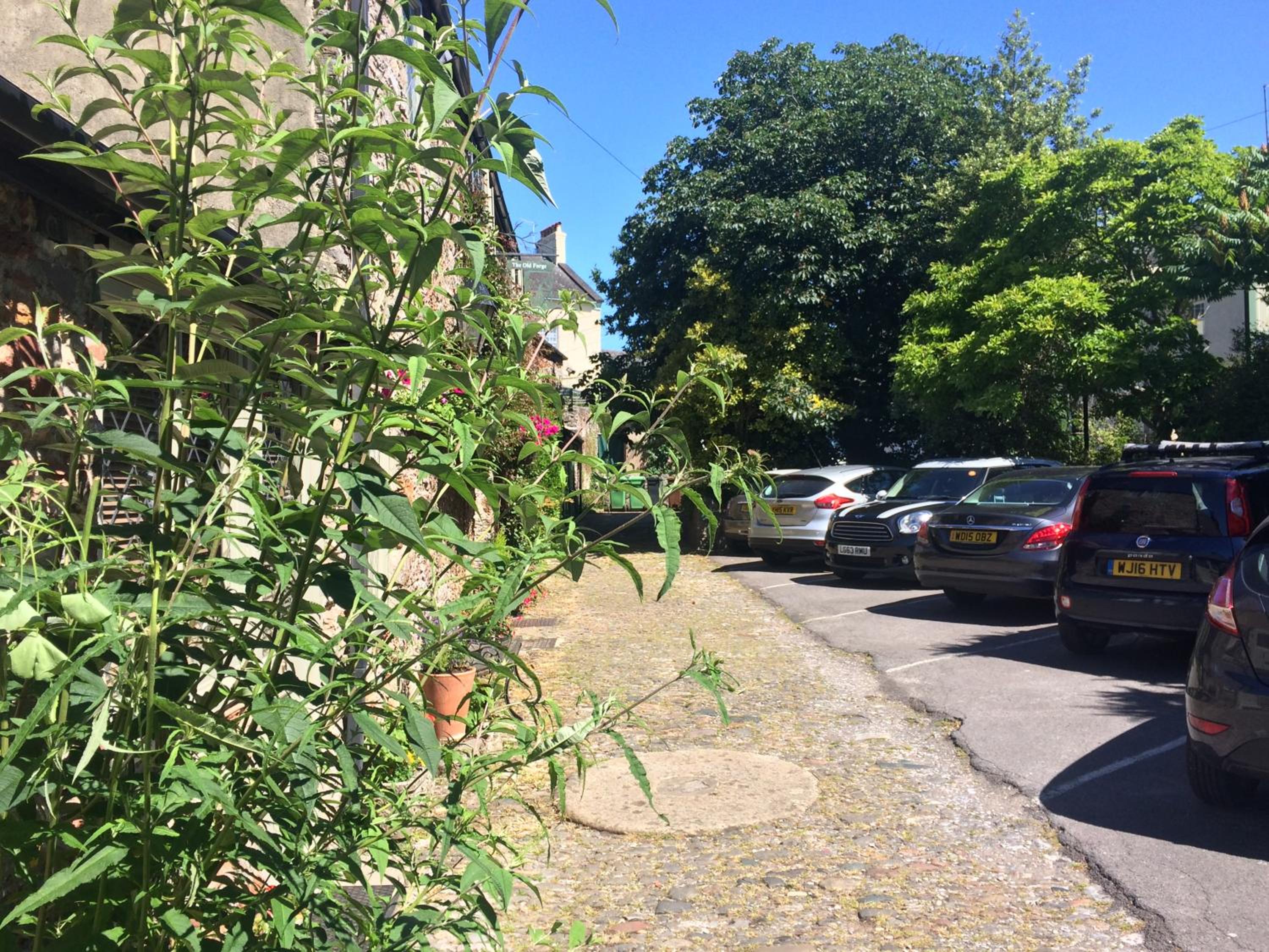 Photo 28