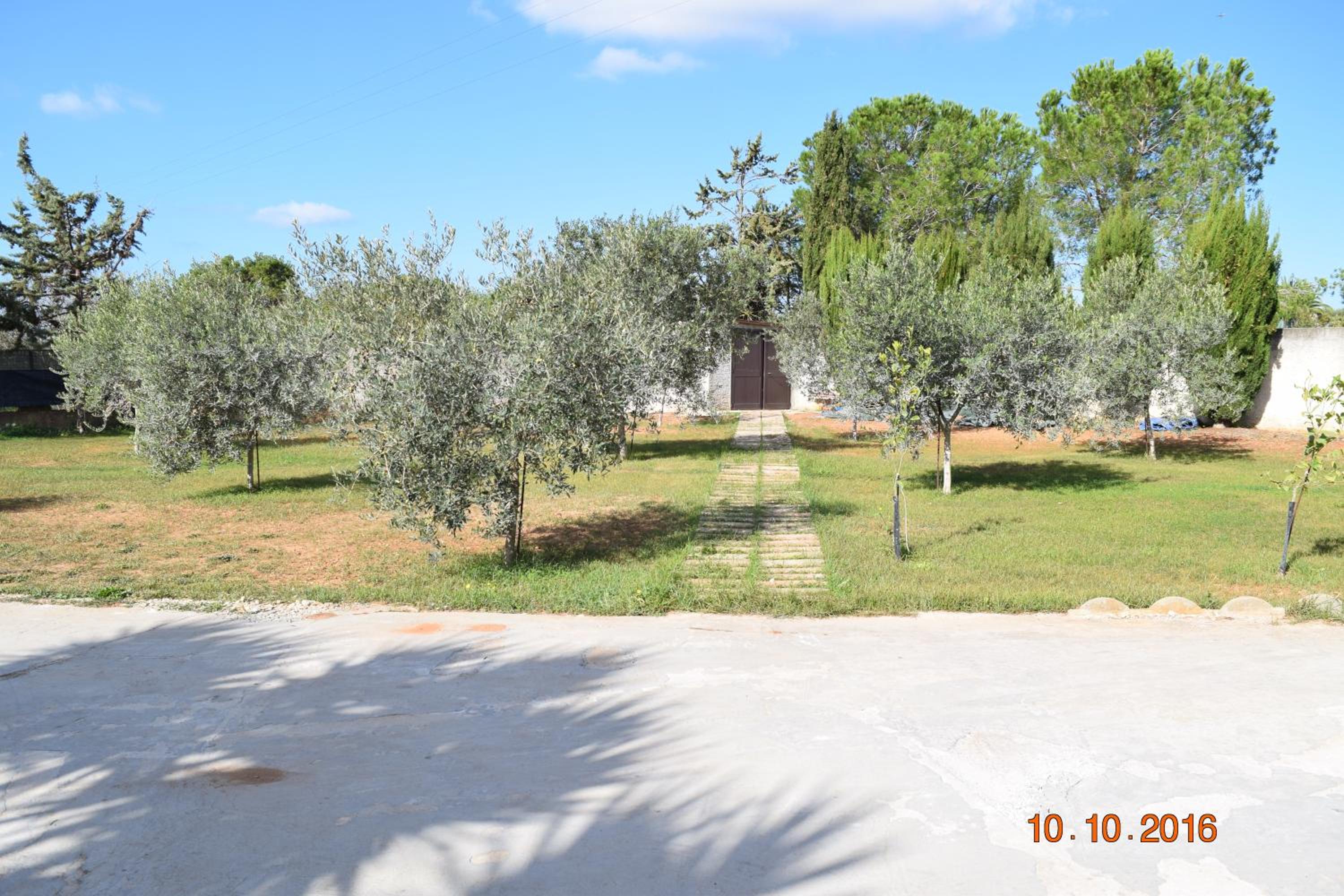 Villa Serena Alghero view 4