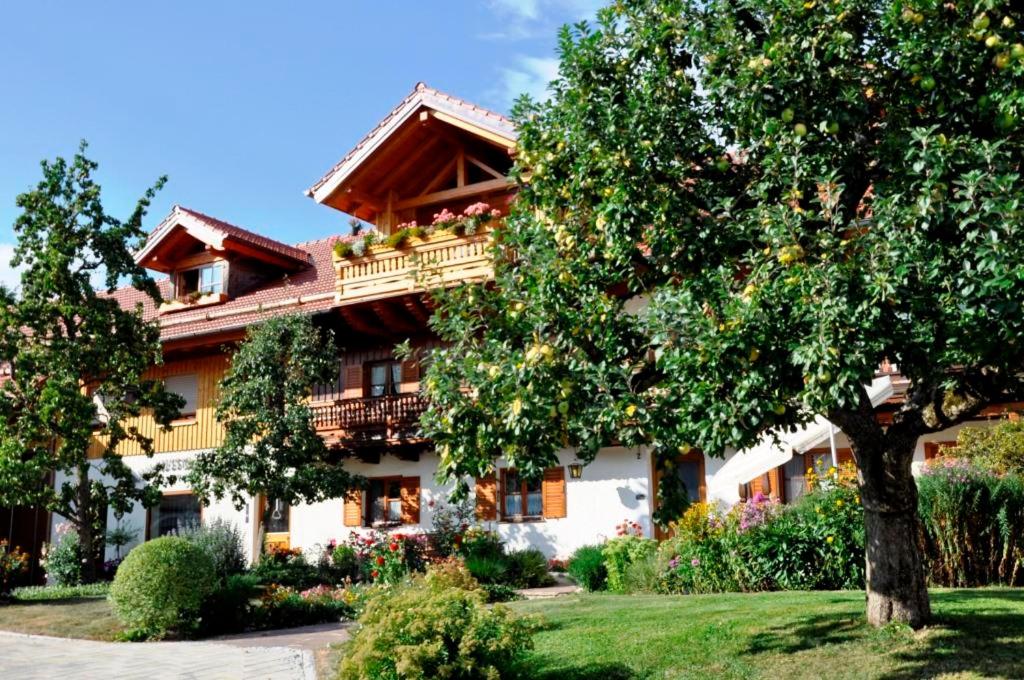 Gästehaus Walser view 3