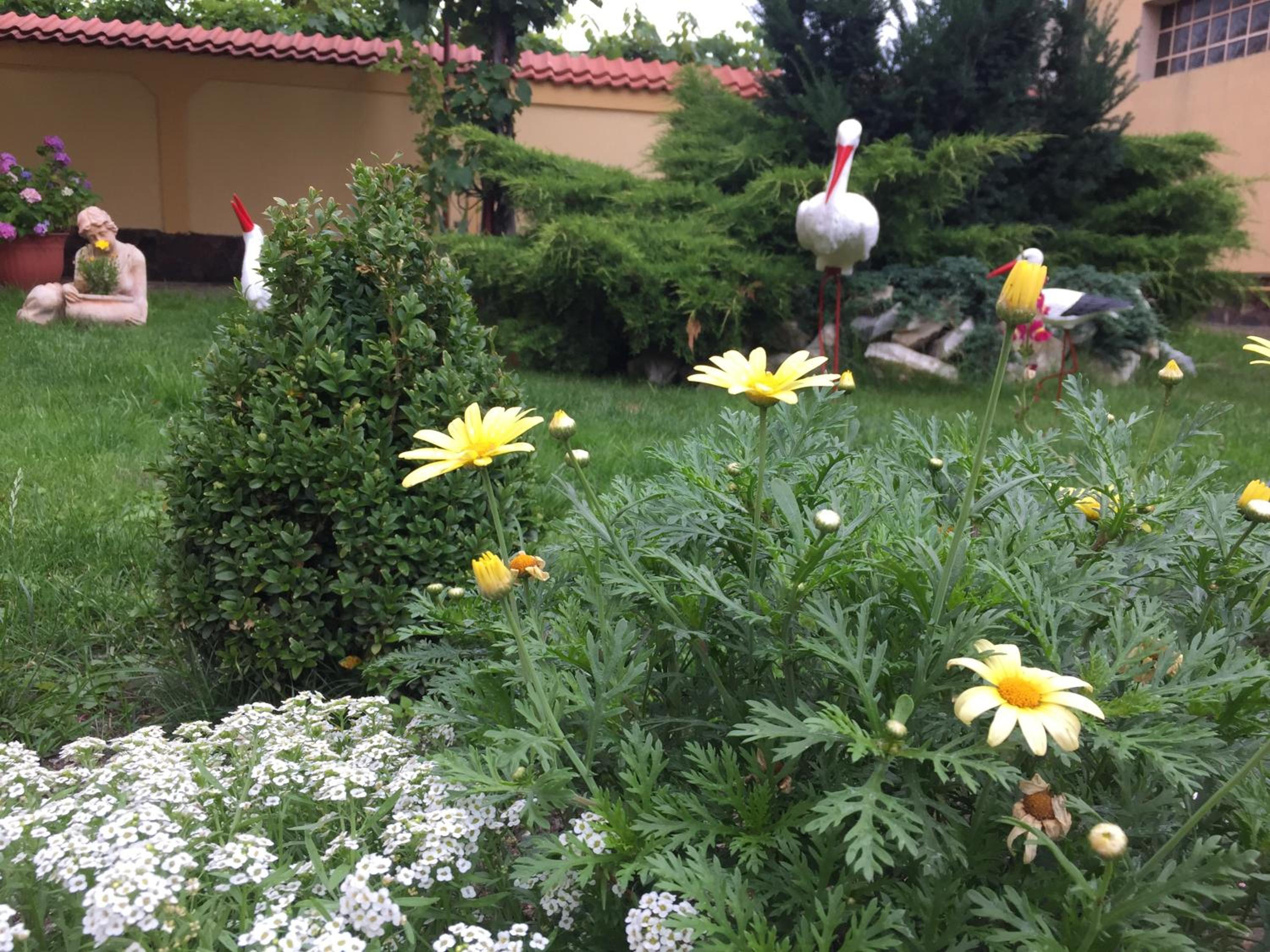 Casa Florea view 5