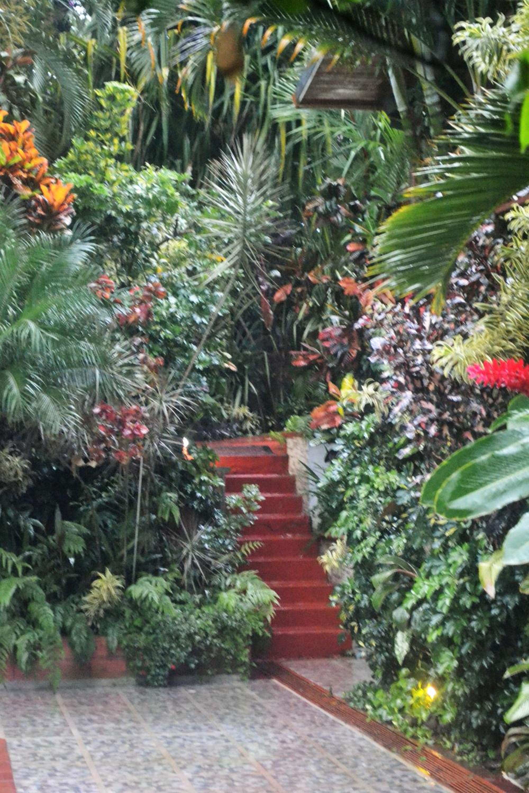 Eden Atenas Costa Rica