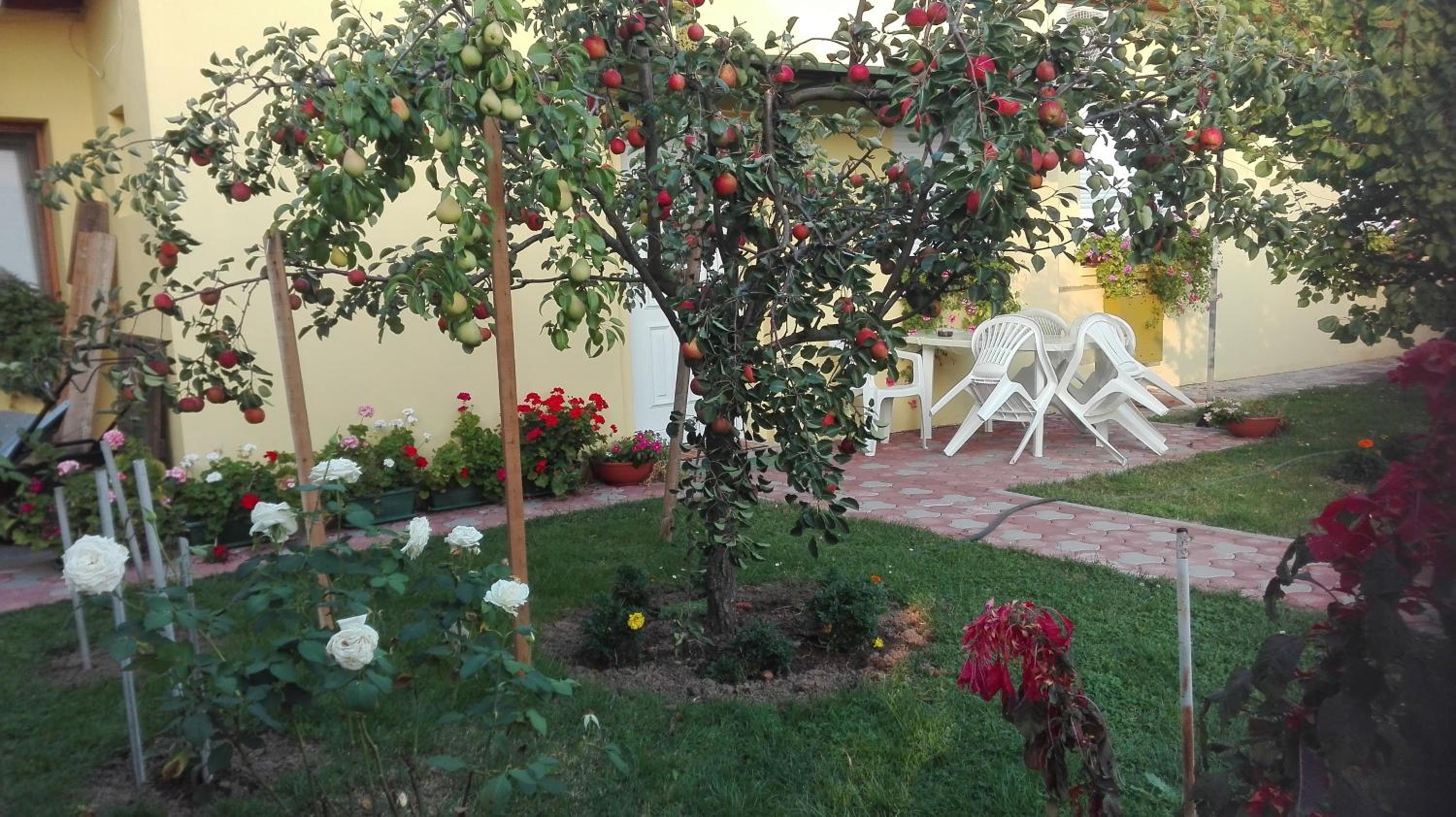Photo 51