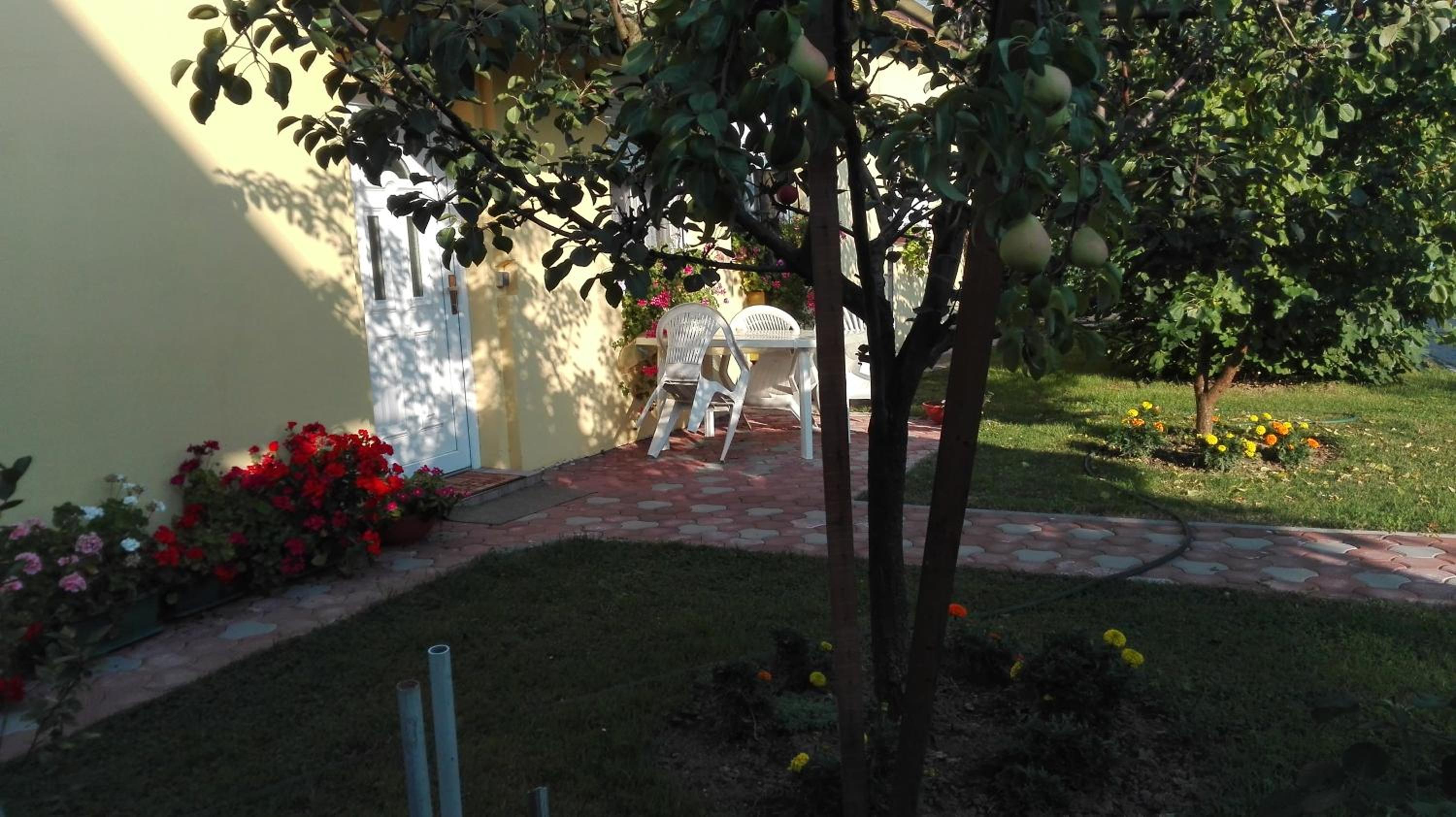 Photo 34