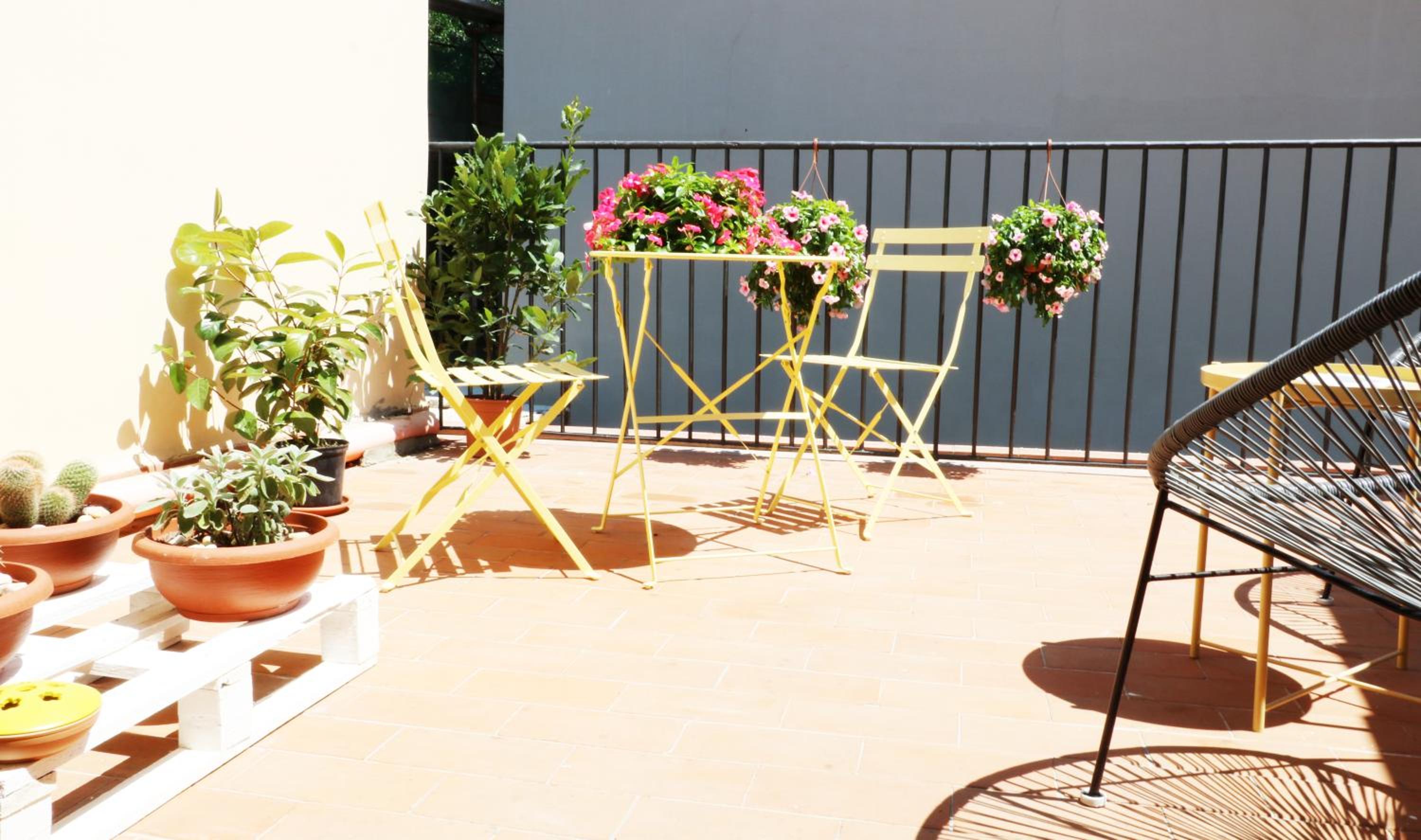 balance & terrace