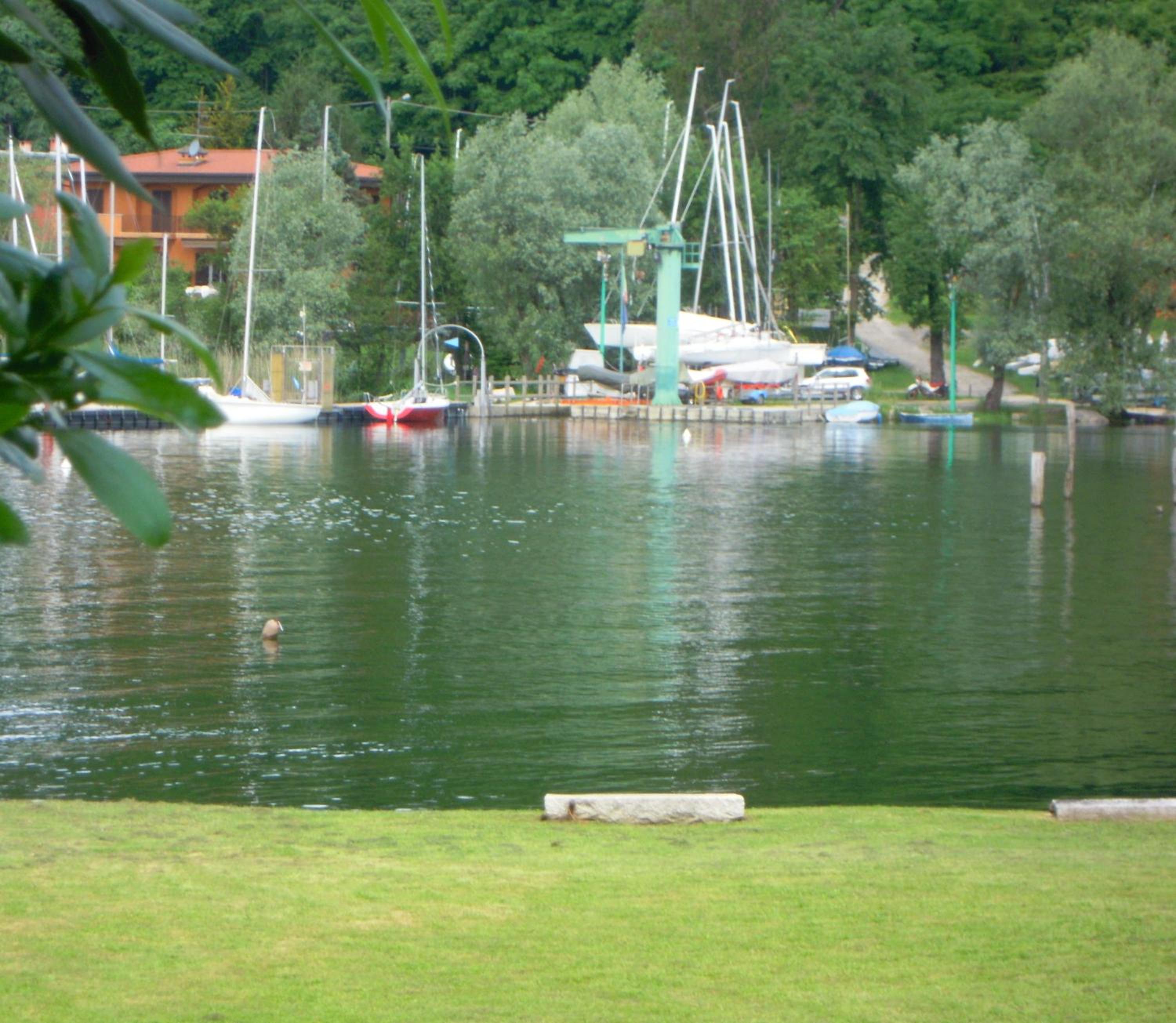 Photo 40