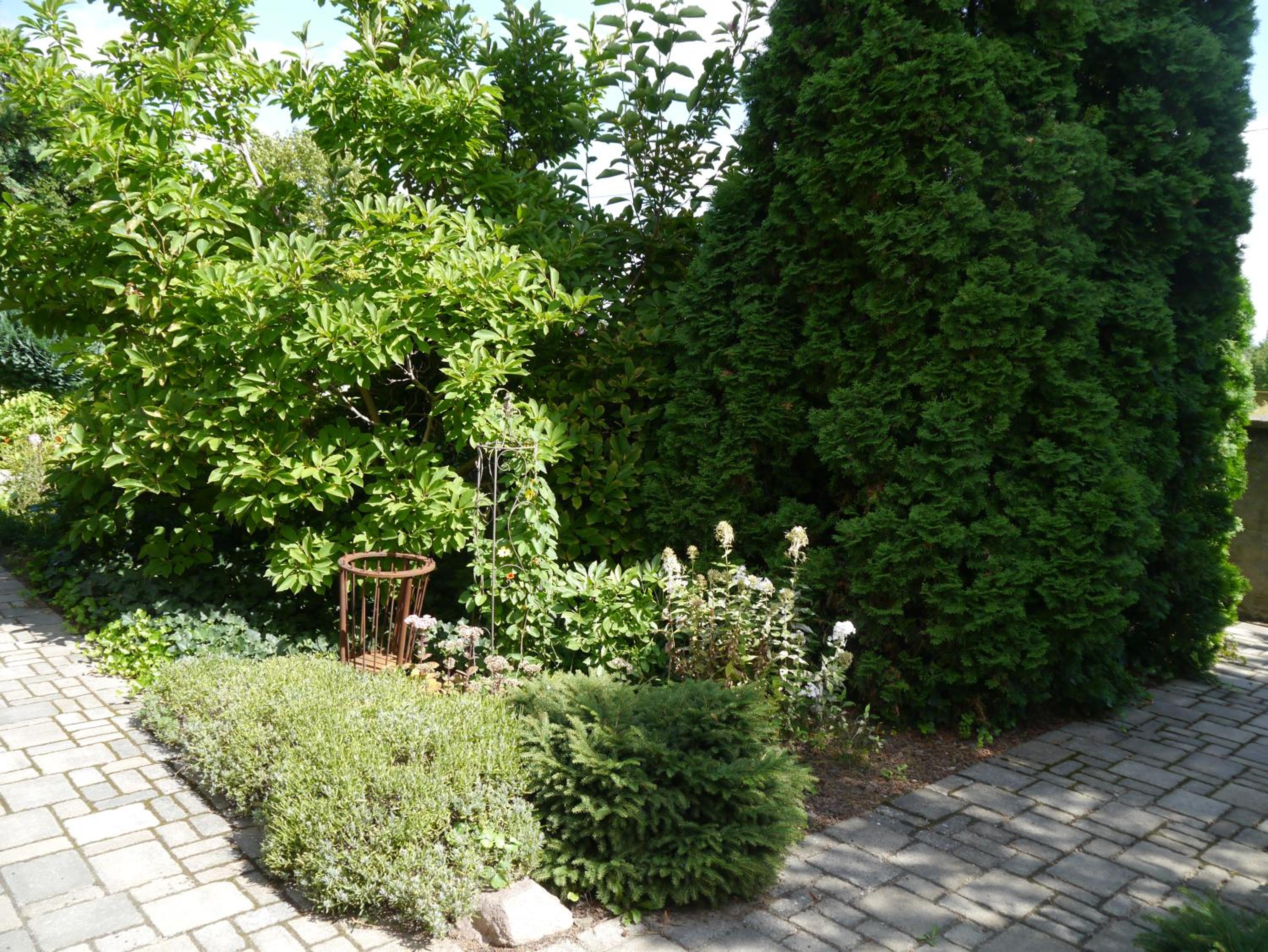 Photo 23
