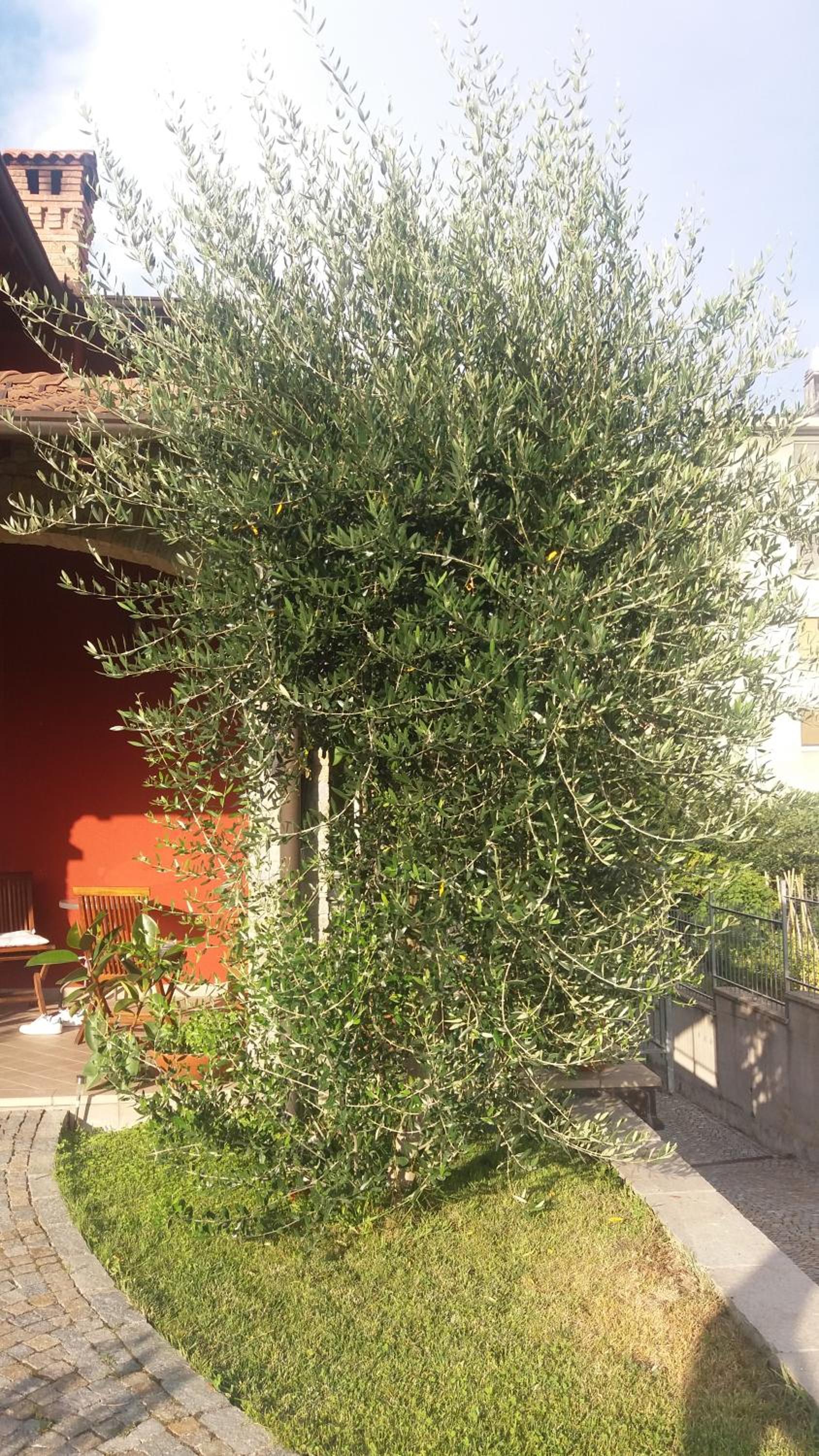 B&b la valletta, photo 18