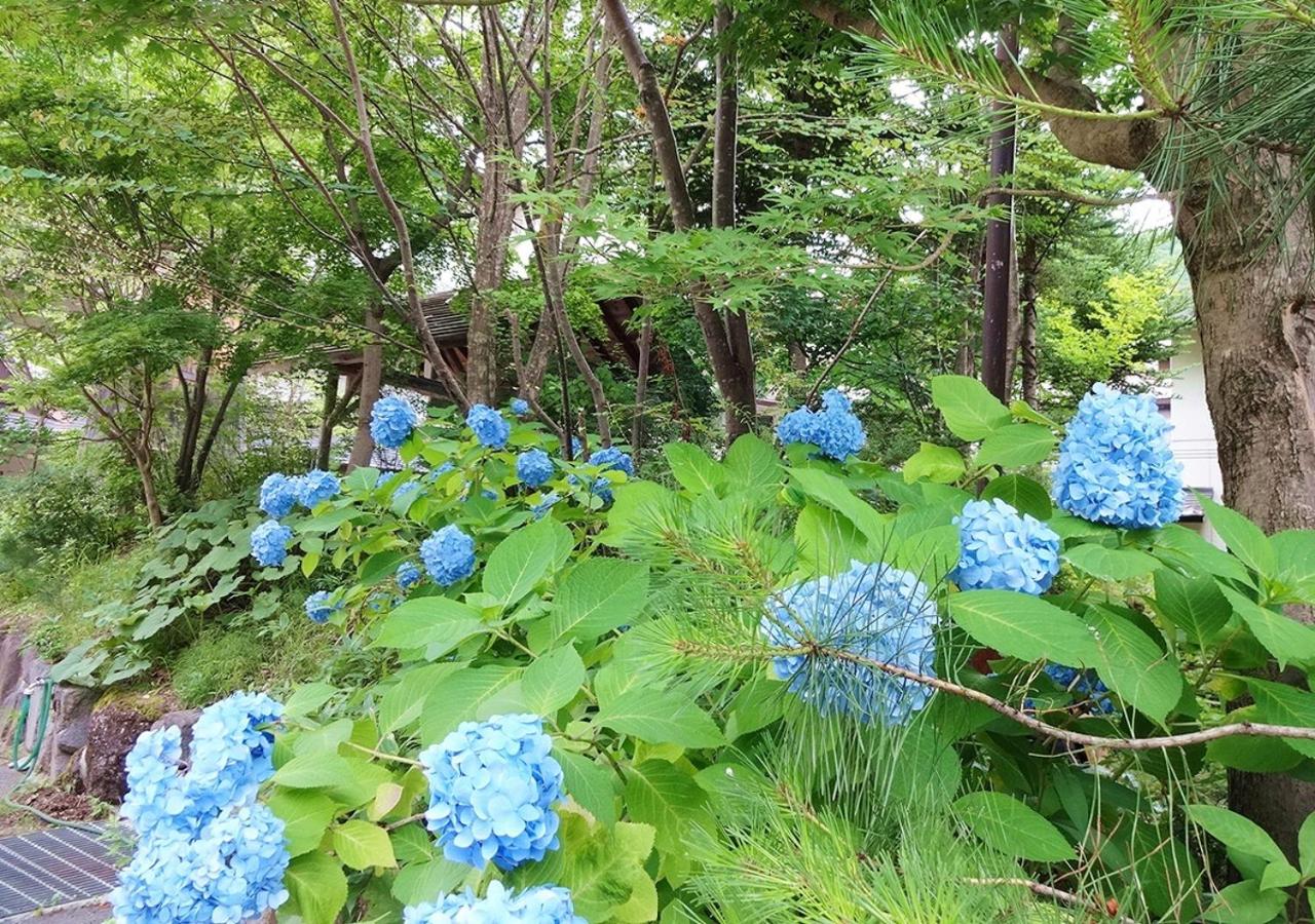 Photo 57