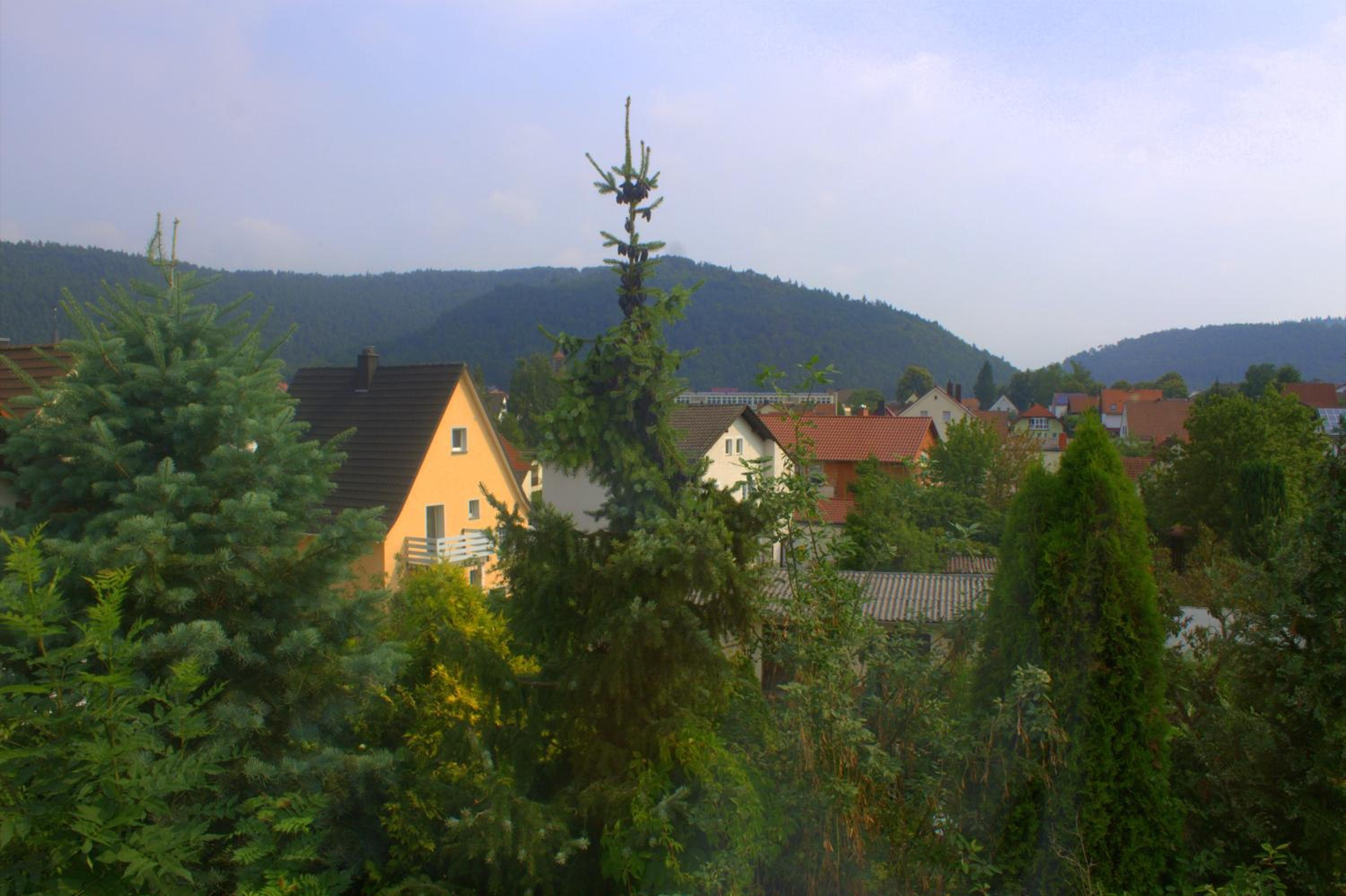 Photo 37