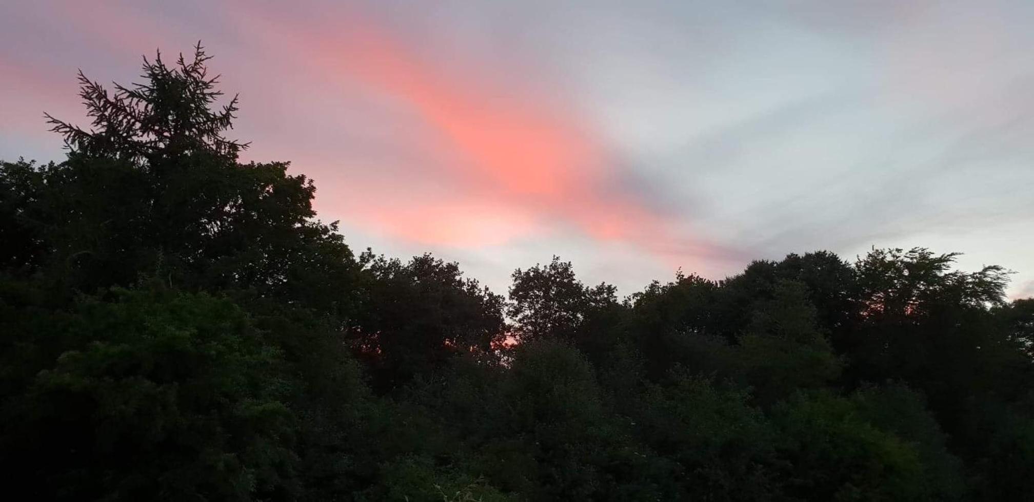 City Camping Hjørring view 4