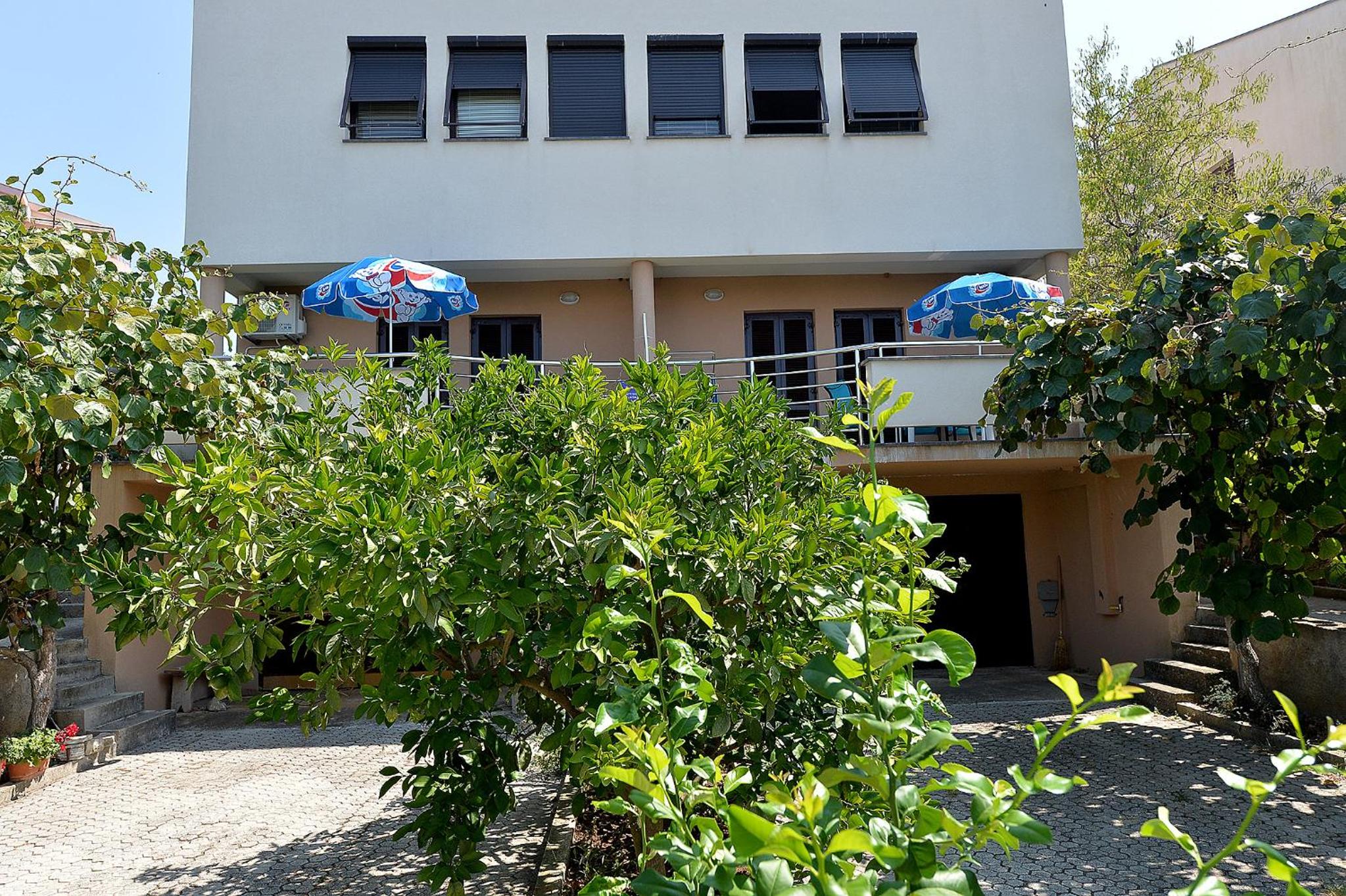 Photo 49