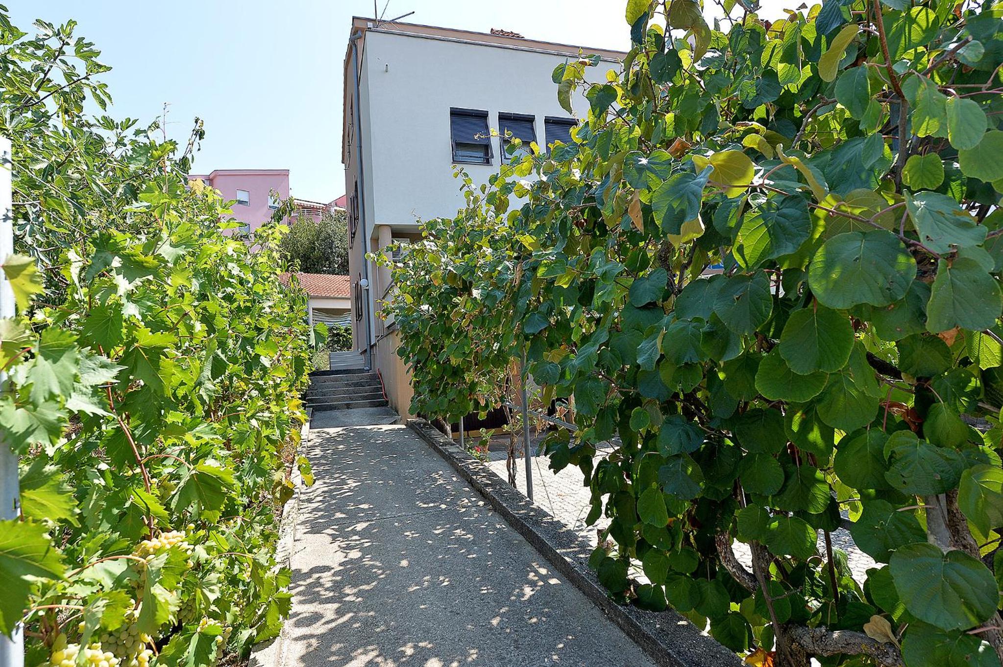 Bozena view 2