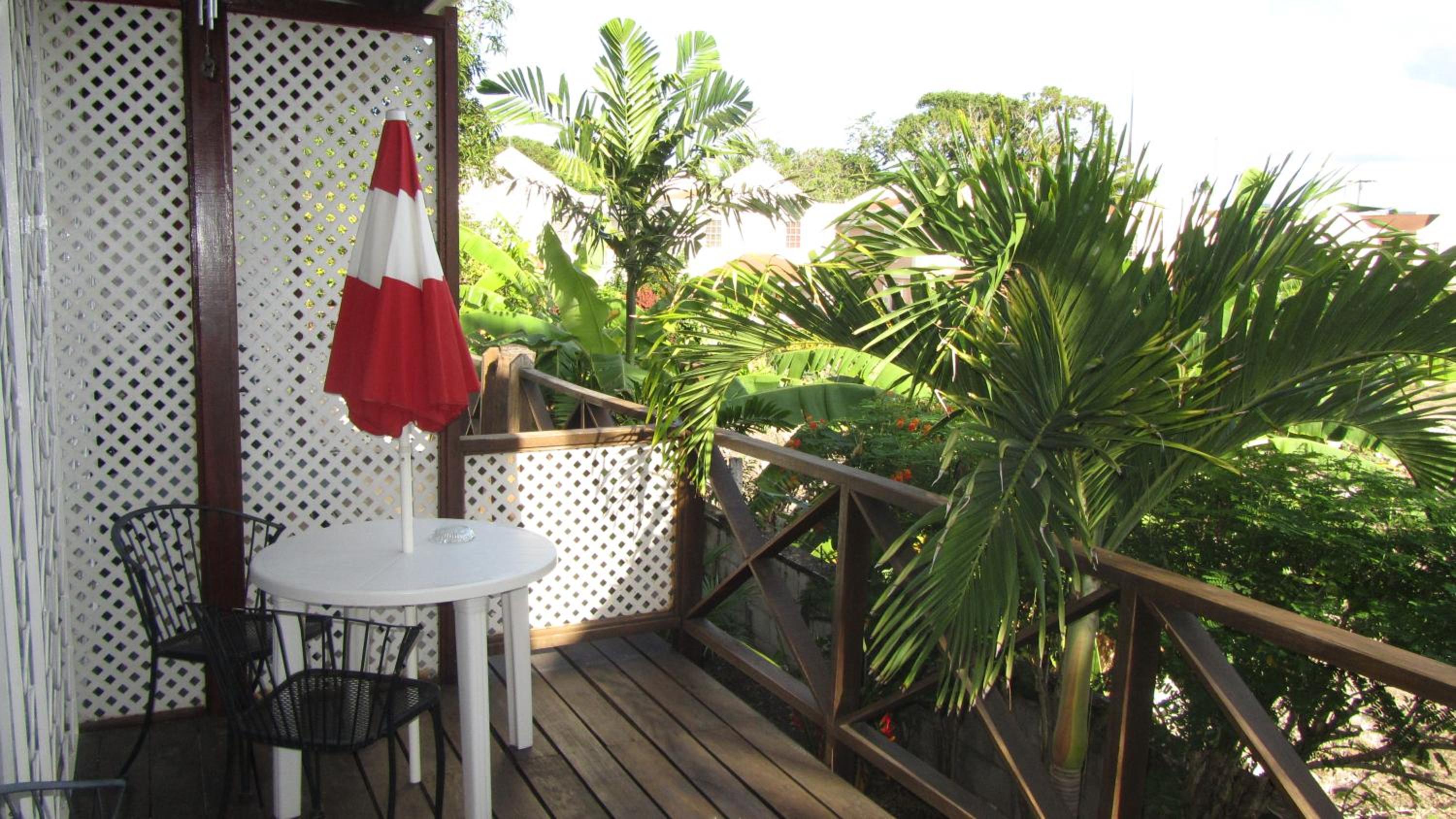 Dolphin Inn Guesthouse & Apartments