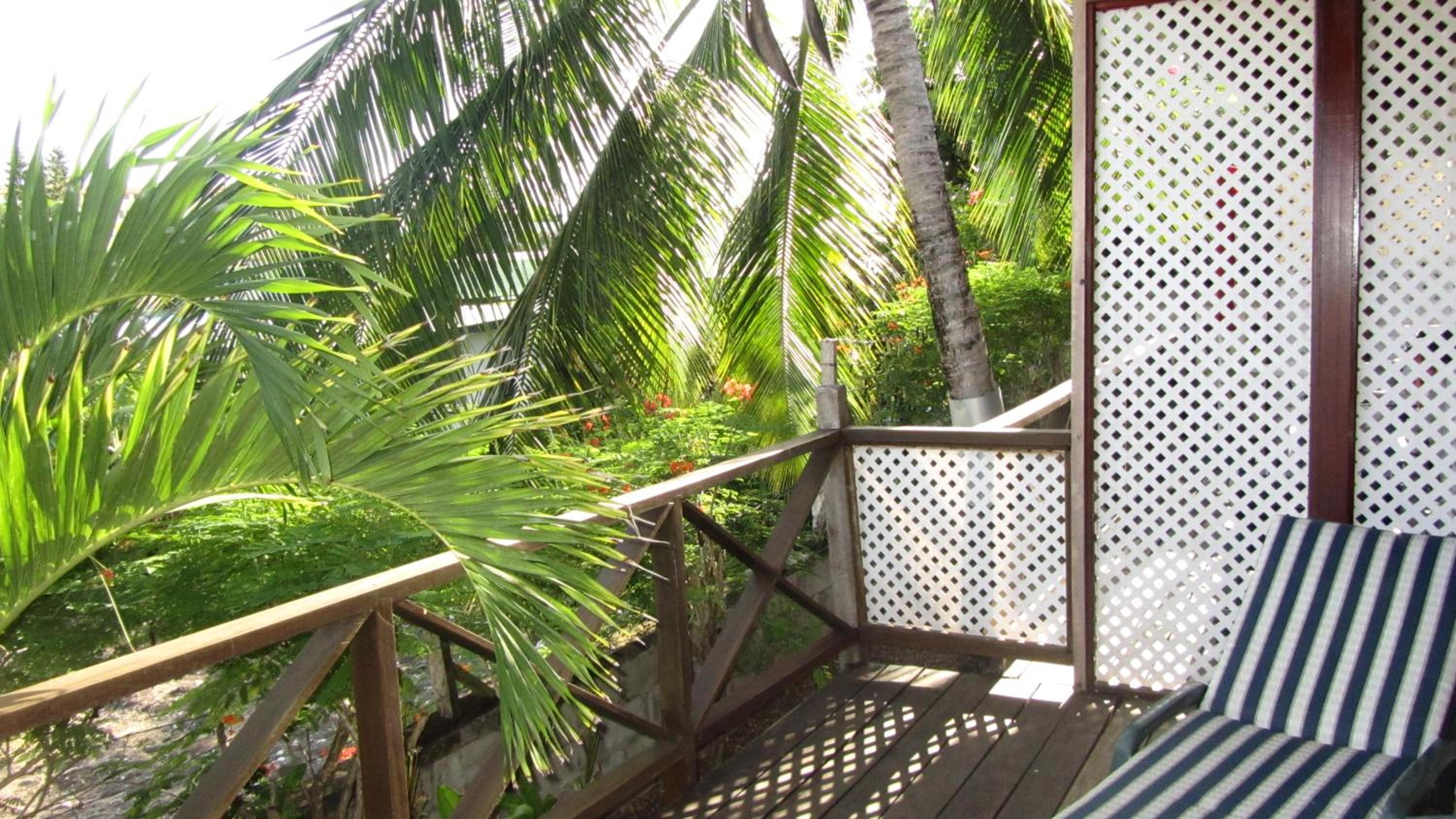 Hotel Dolphin Inn Guesthouse & Apartments - Image 1