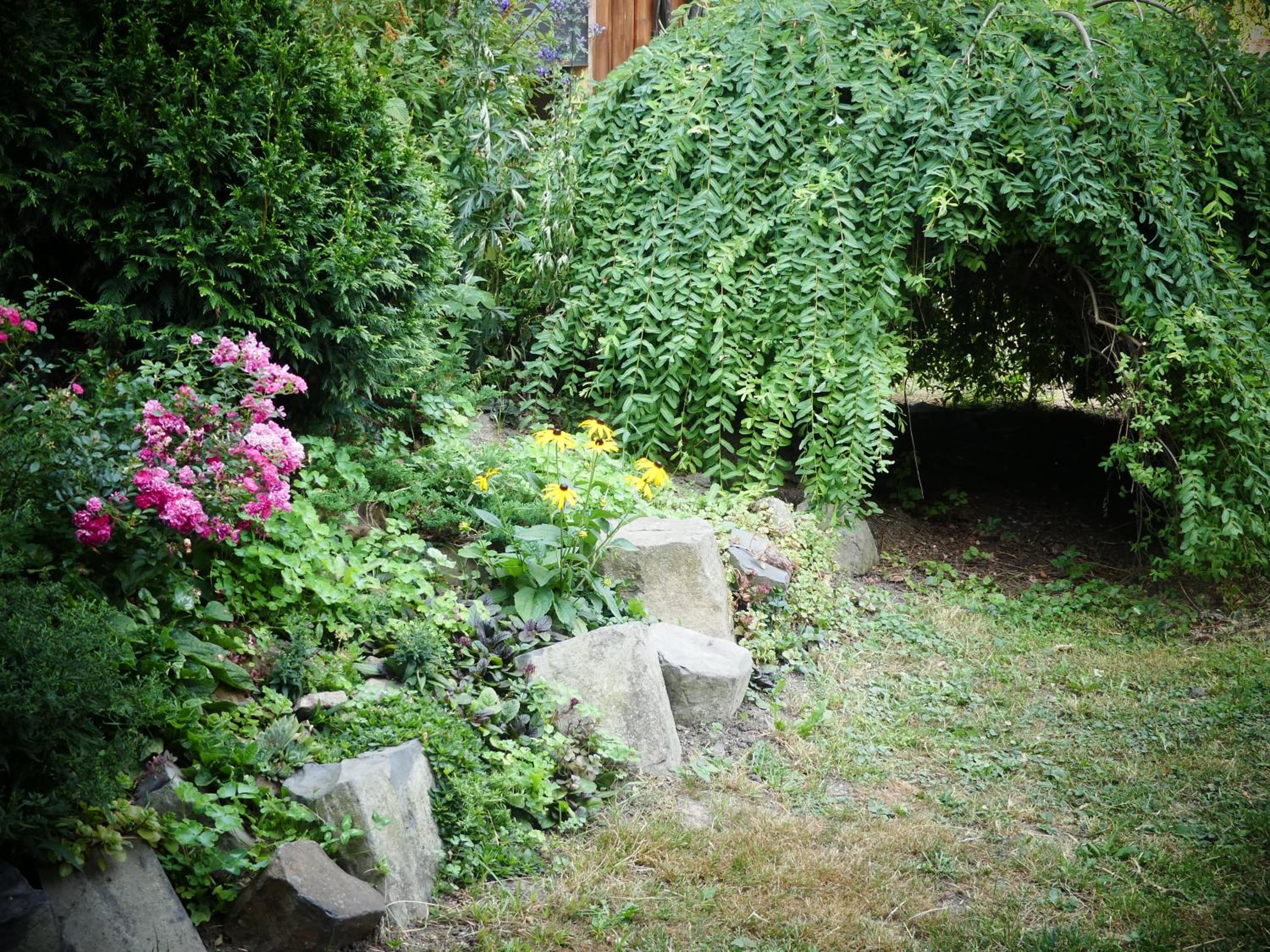 Photo 58