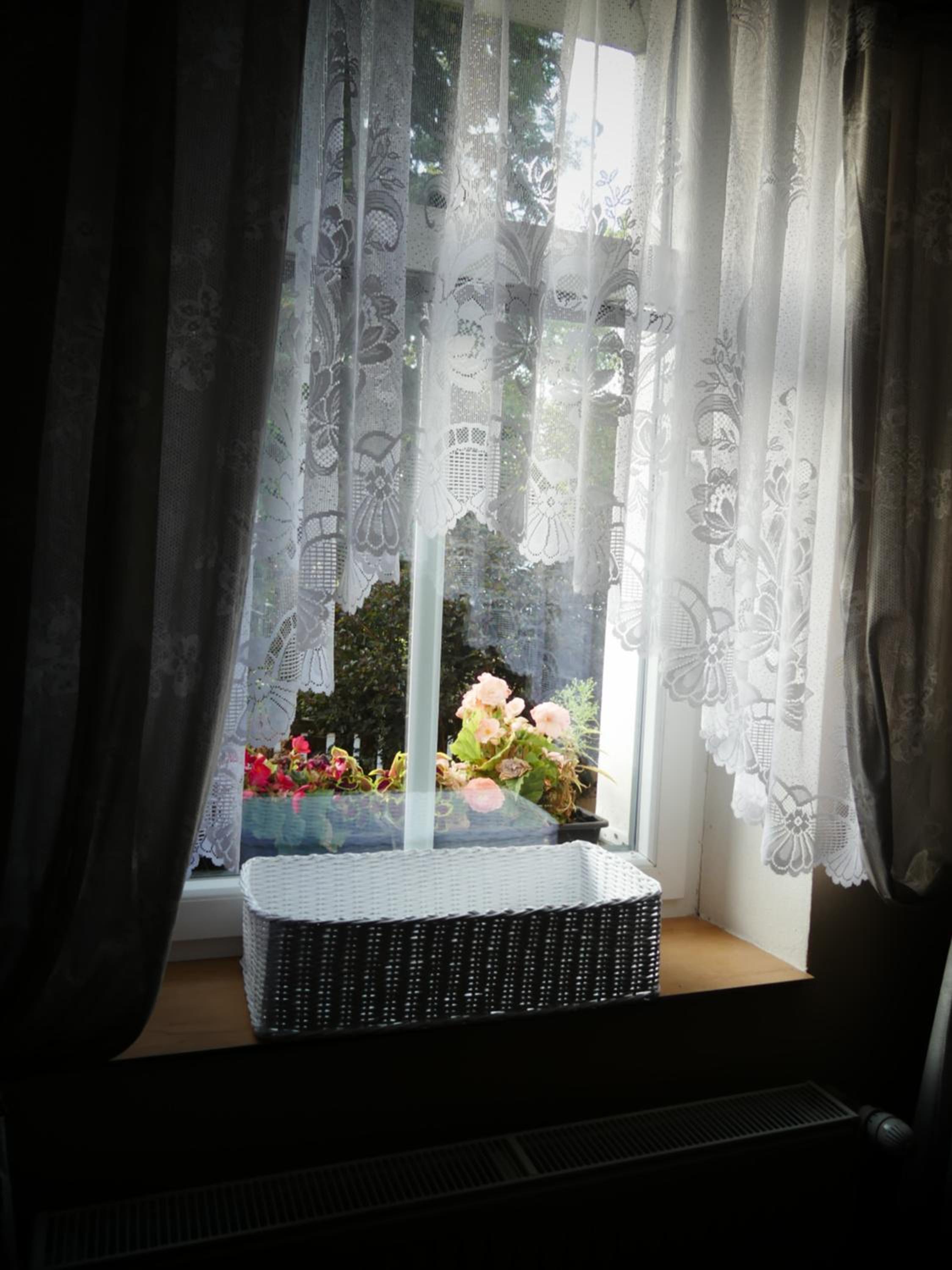 Venkovské apartmány Tiché pastviny view 4