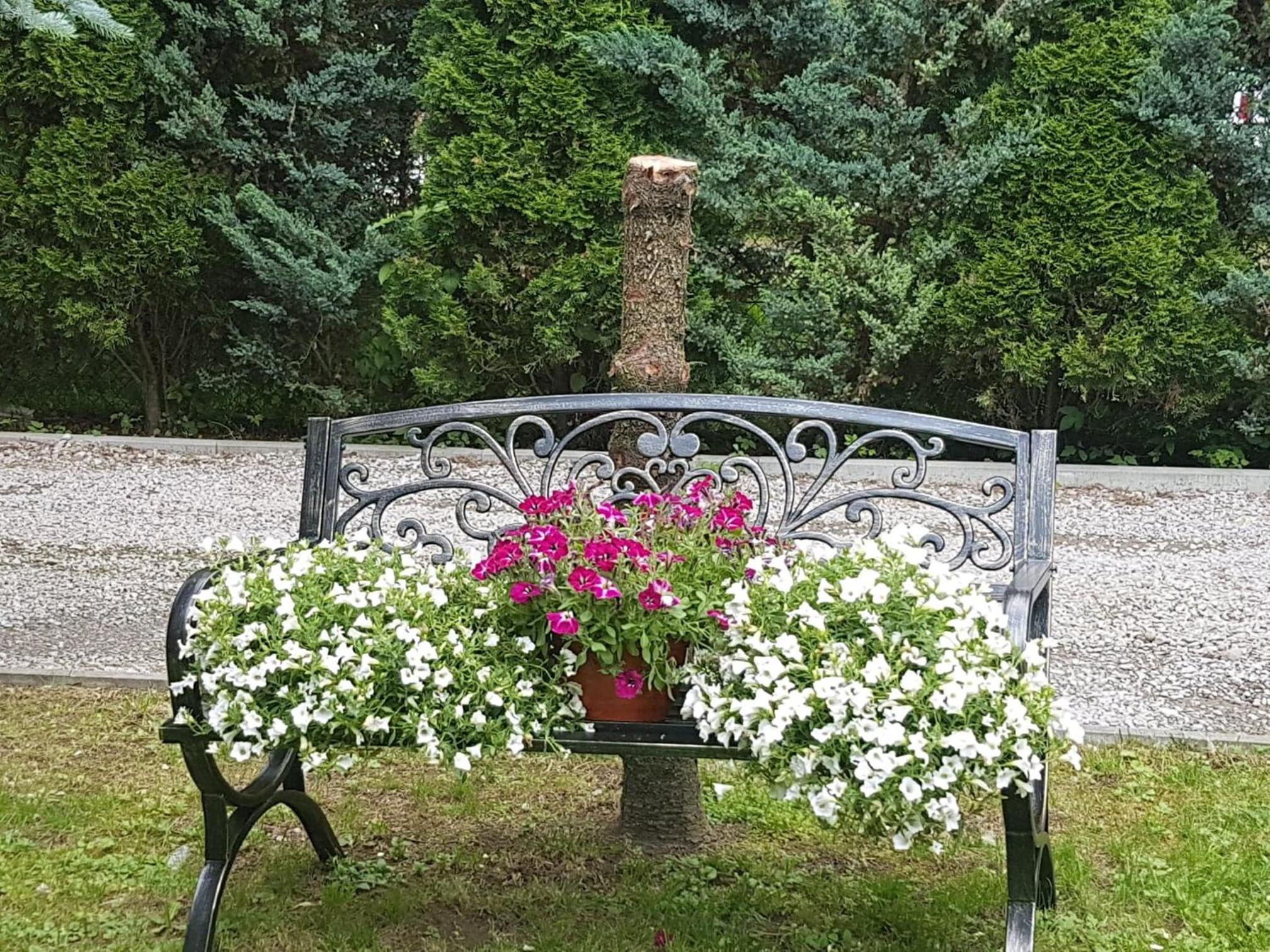 Photo 17