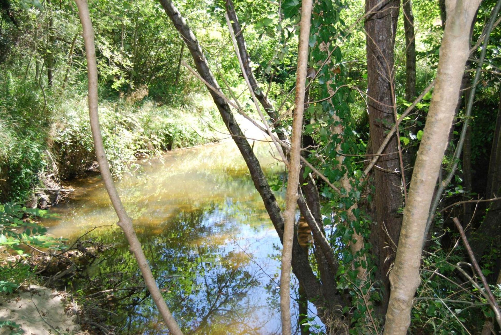 Photo 31