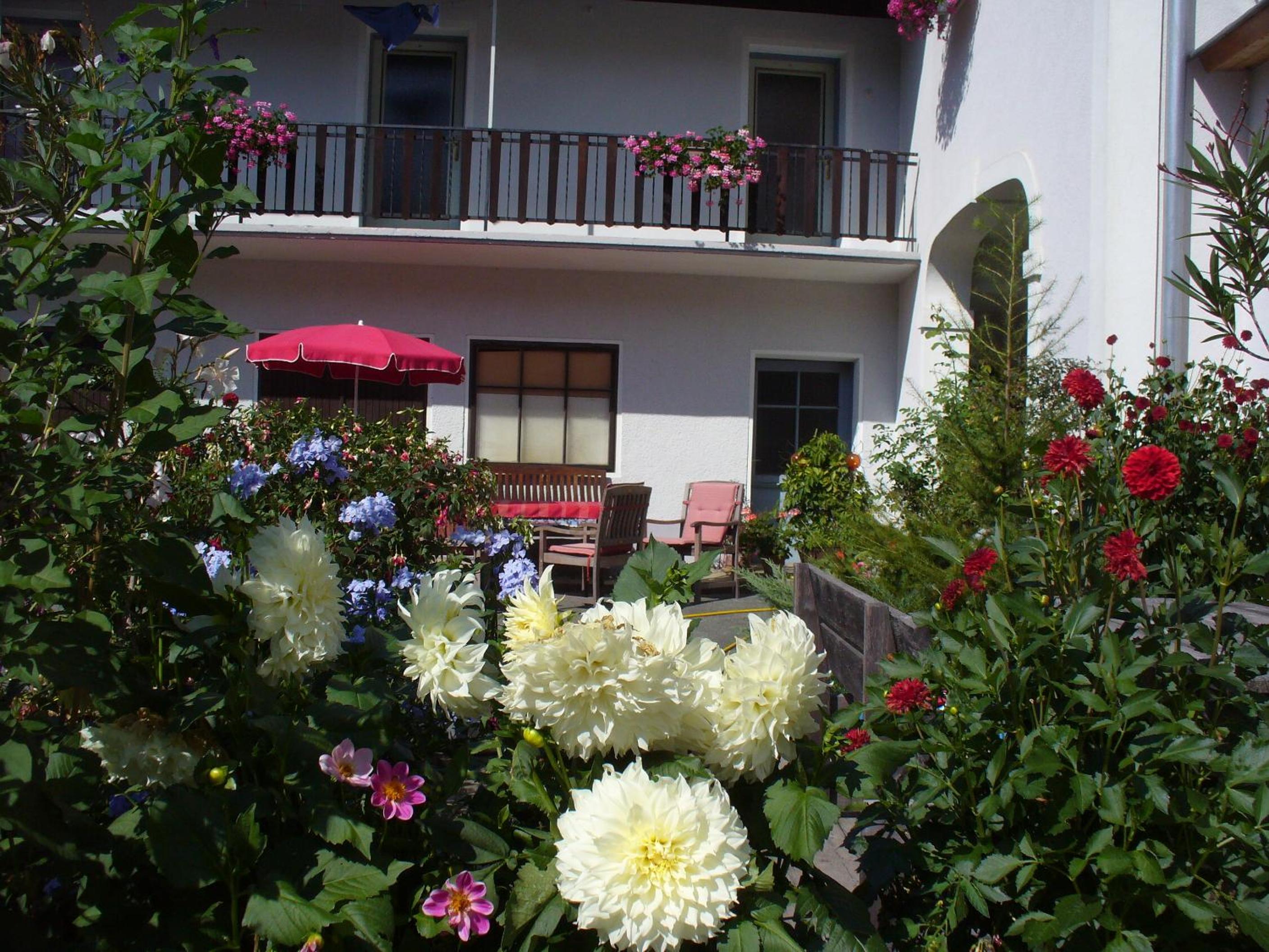 Photo 40