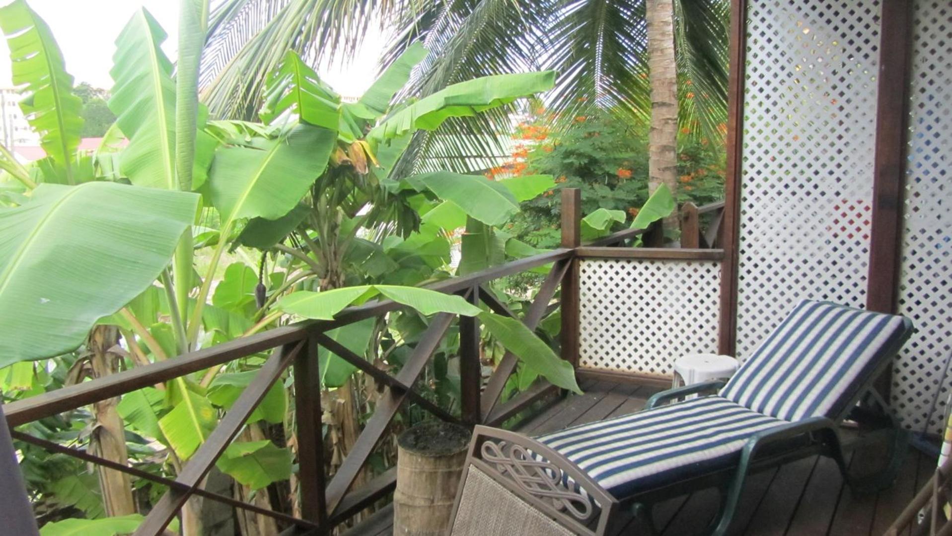 Dolphin Inn Guesthouse & Apartments