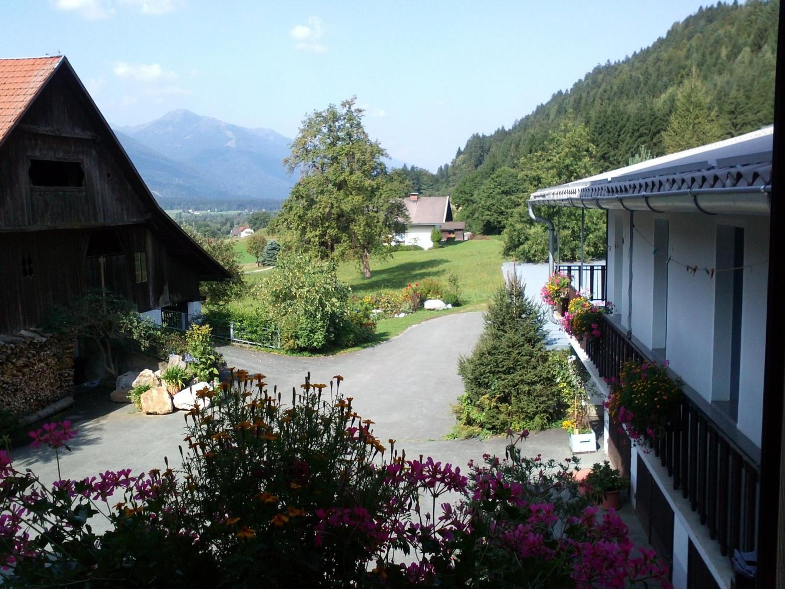 Photo 43