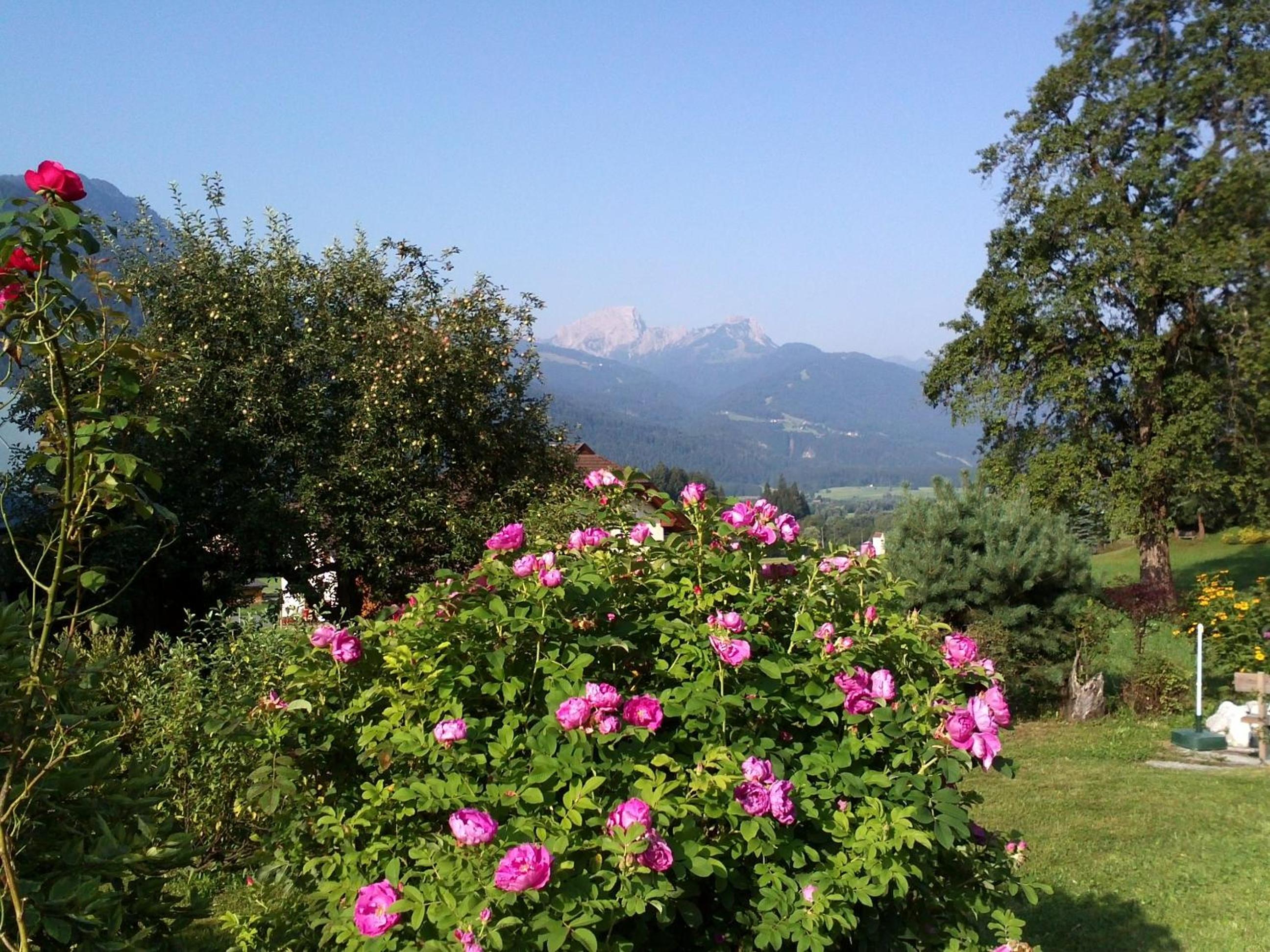 Photo 44
