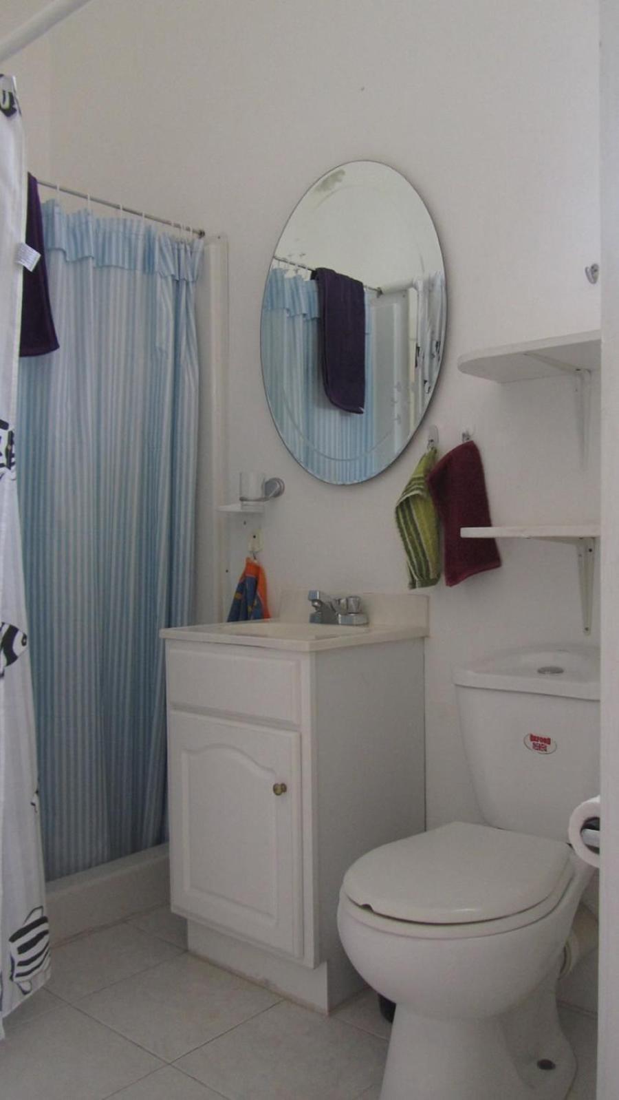 Dolphin Inn Guesthouse & Apartments