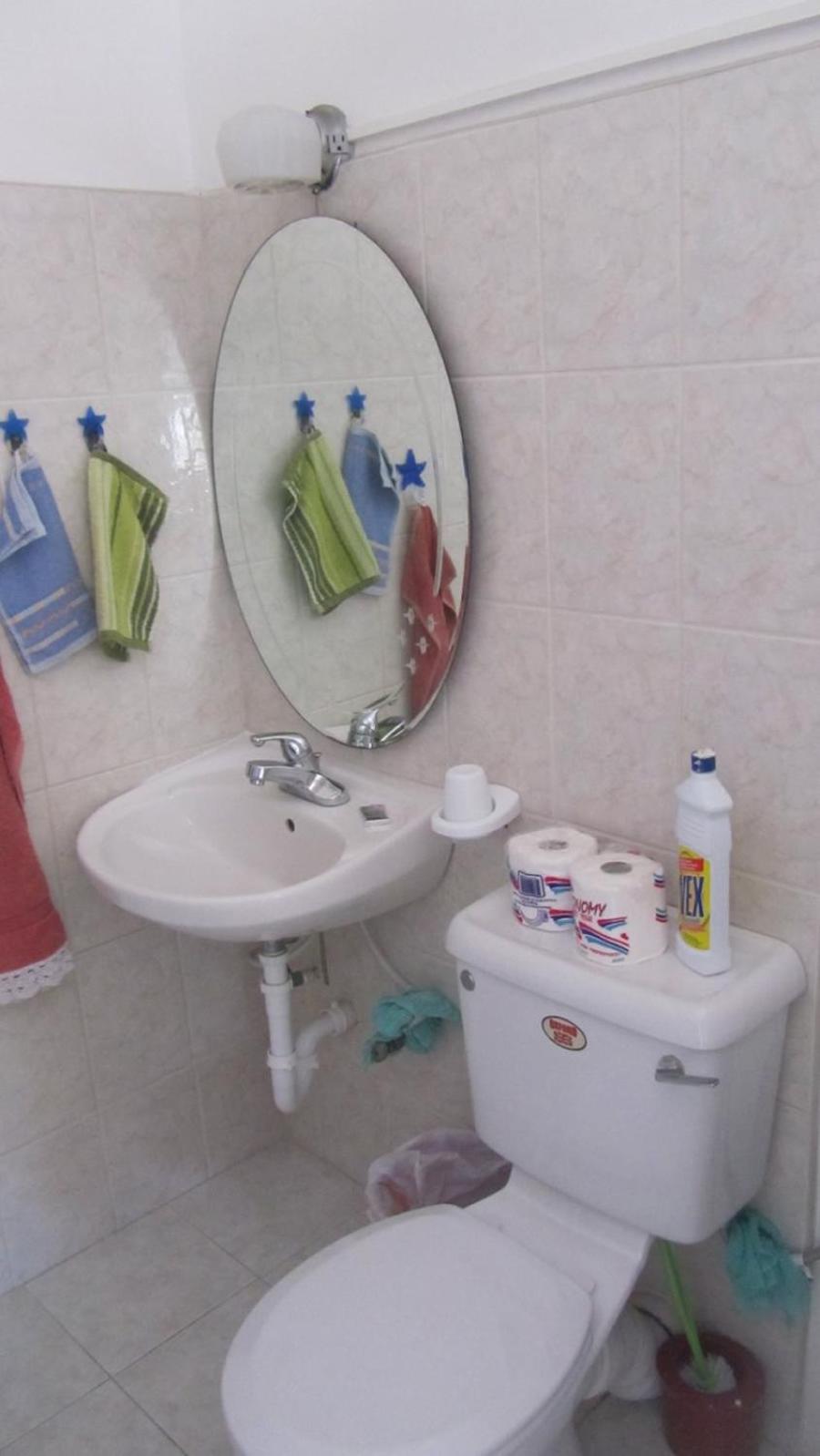 Dolphin Inn Guesthouse & Apartments