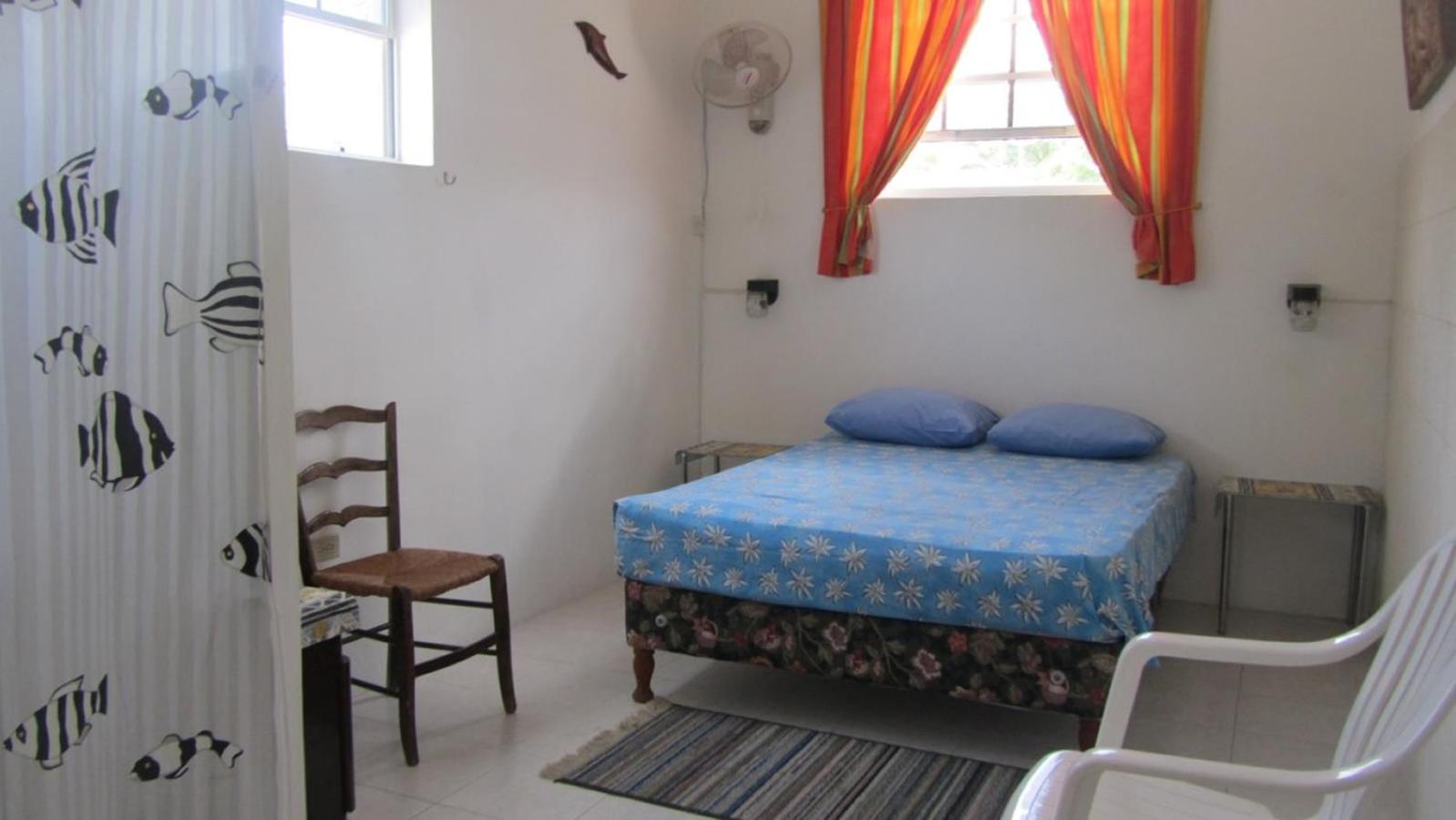 Dolphin Inn Guesthouse & Apartments