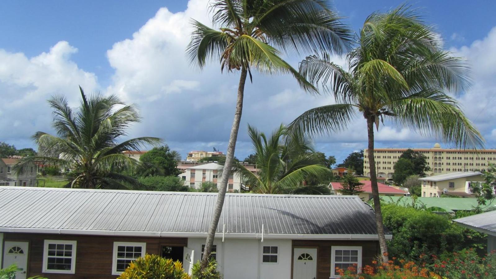 Dolphin Inn Guesthouse & Apartments