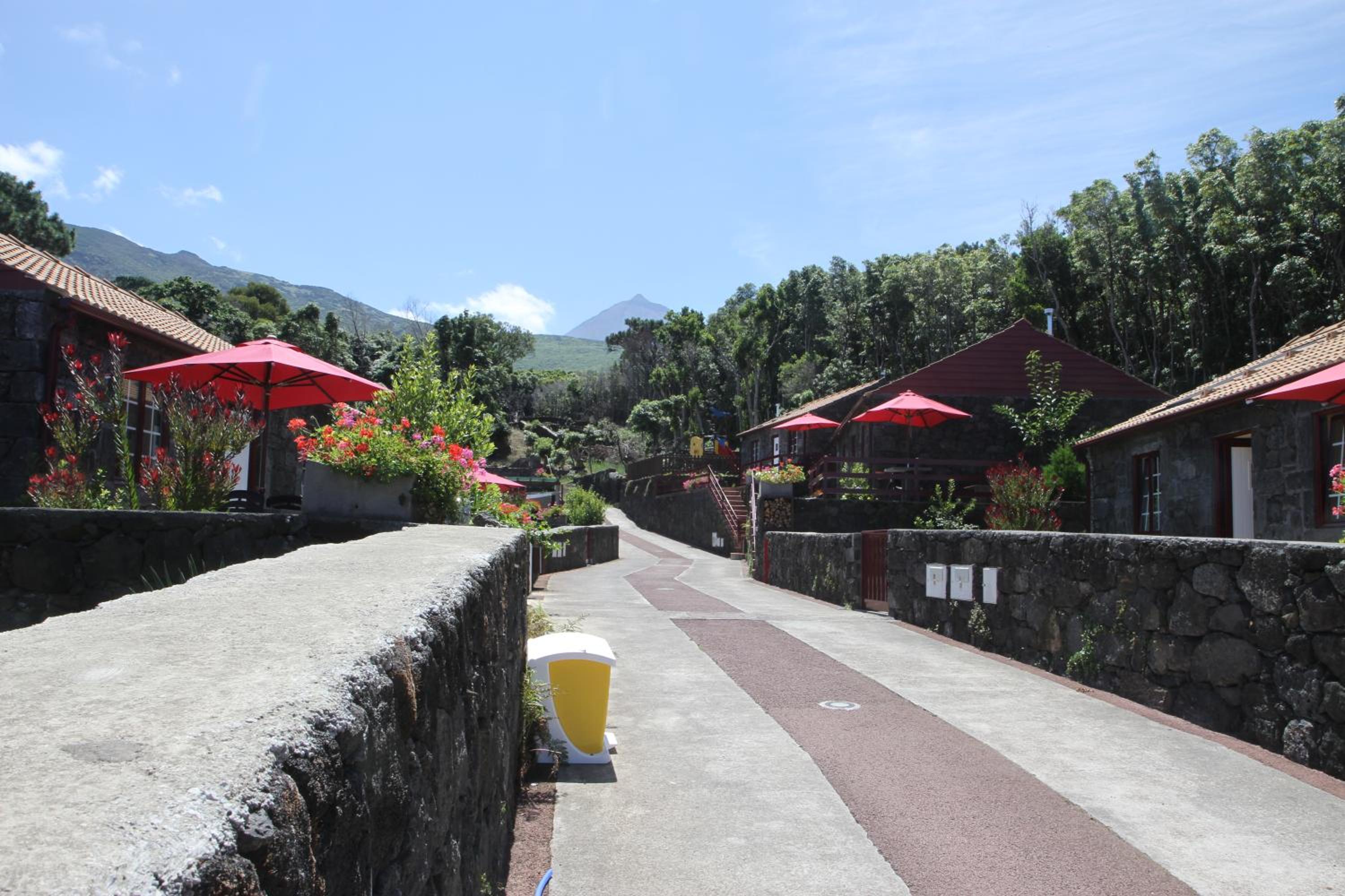 Aldeia das Adegas