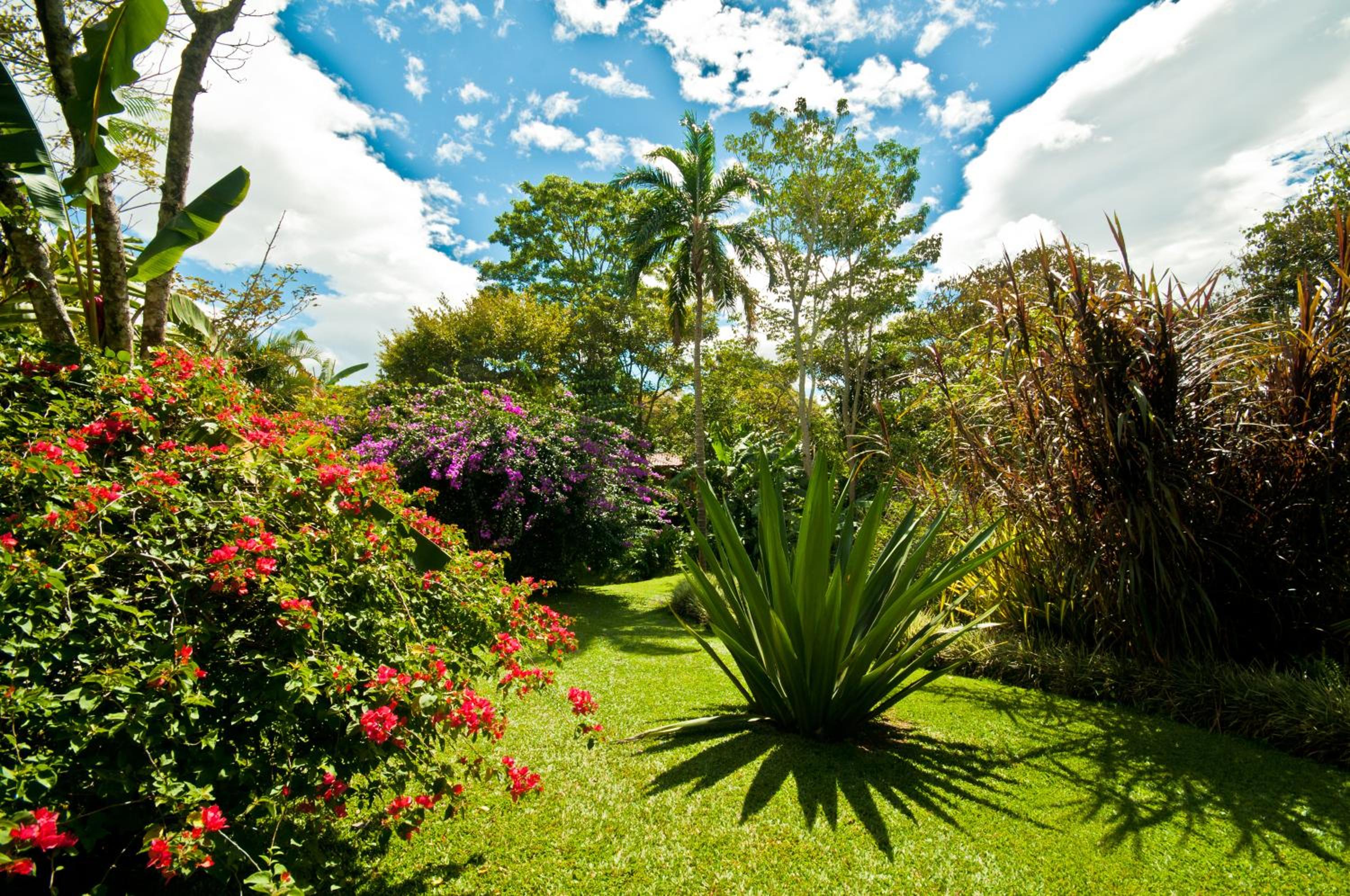 Tacacori EcoLodge