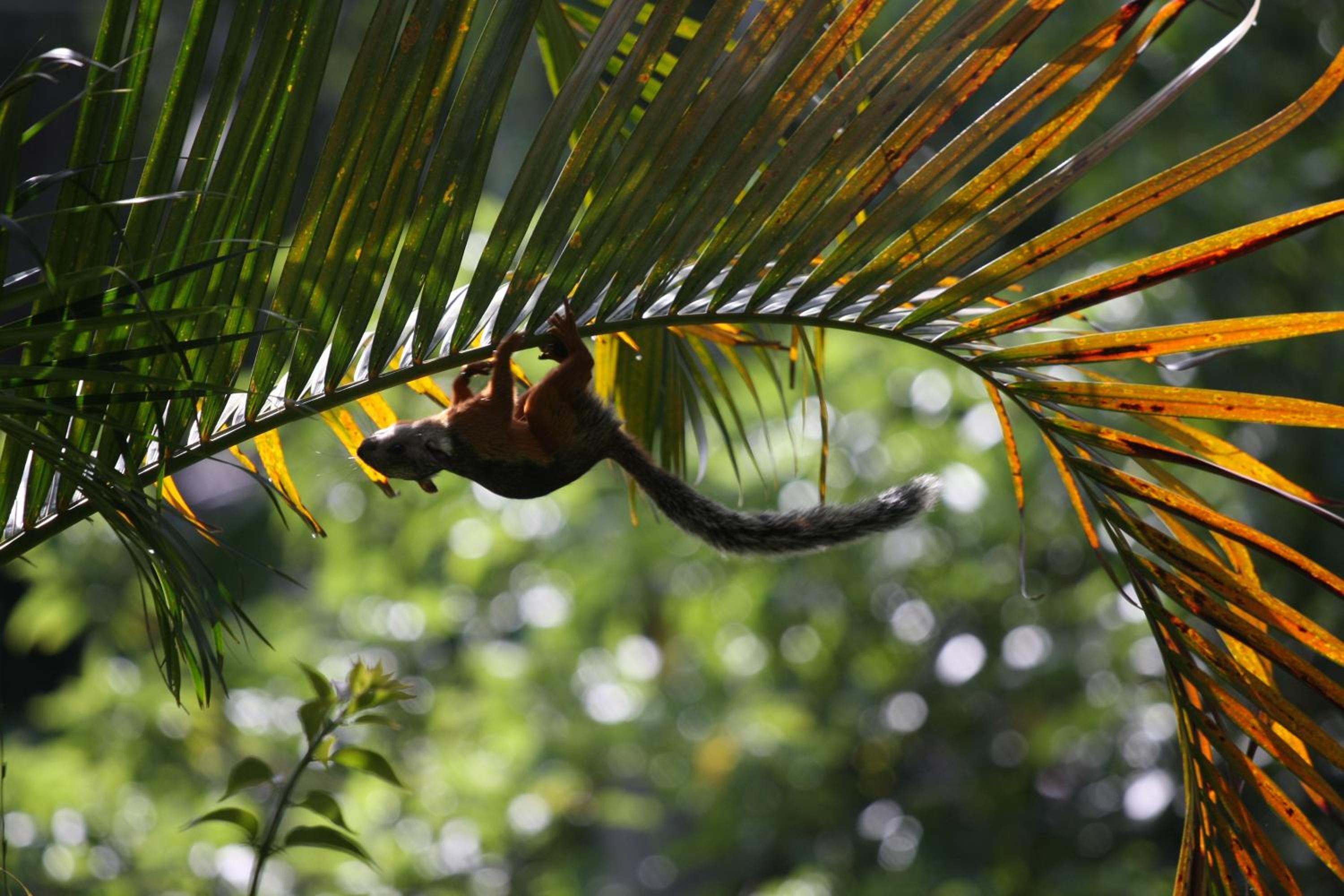 Tacacori EcoLodge