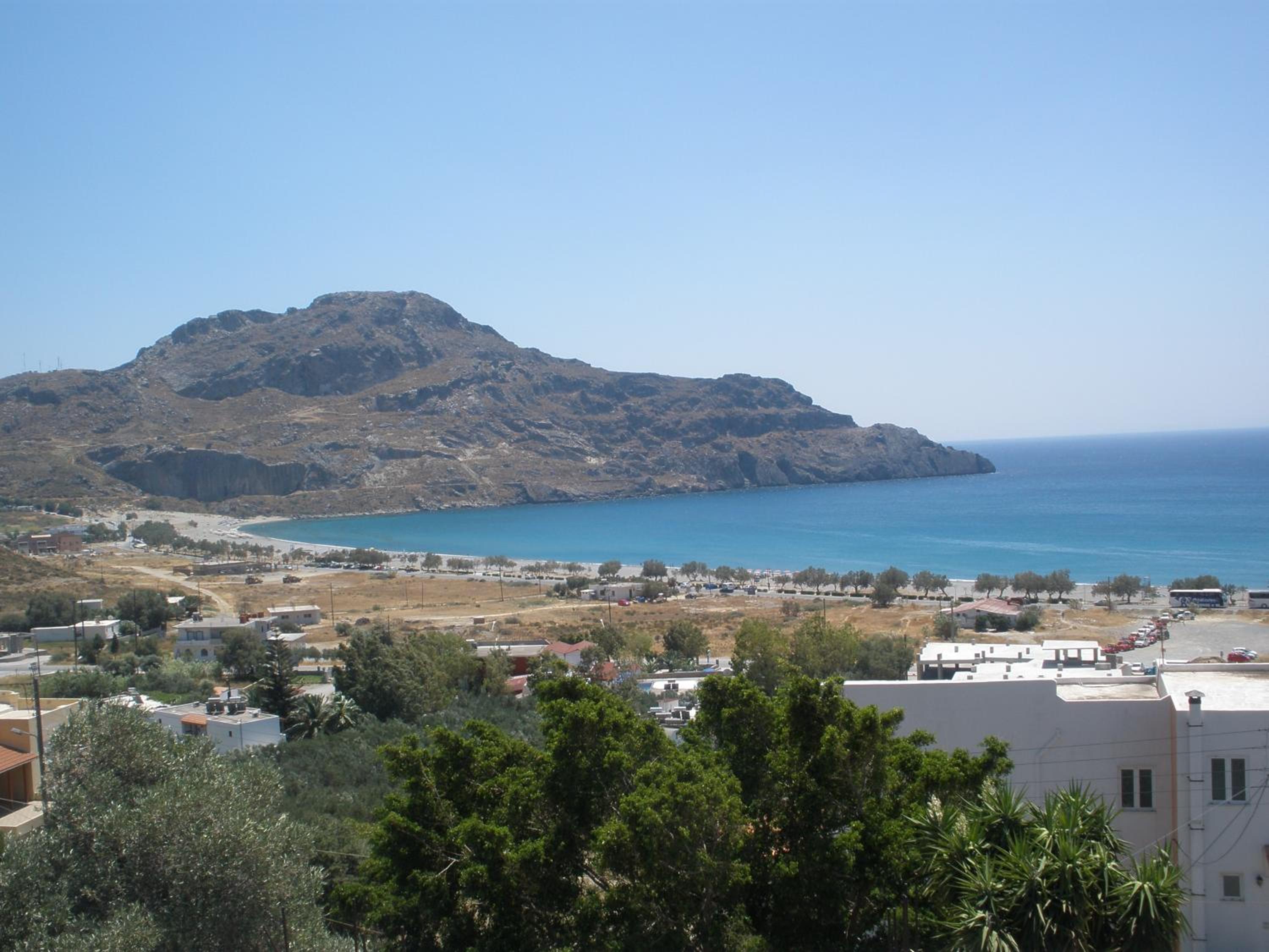 Camelia view 4