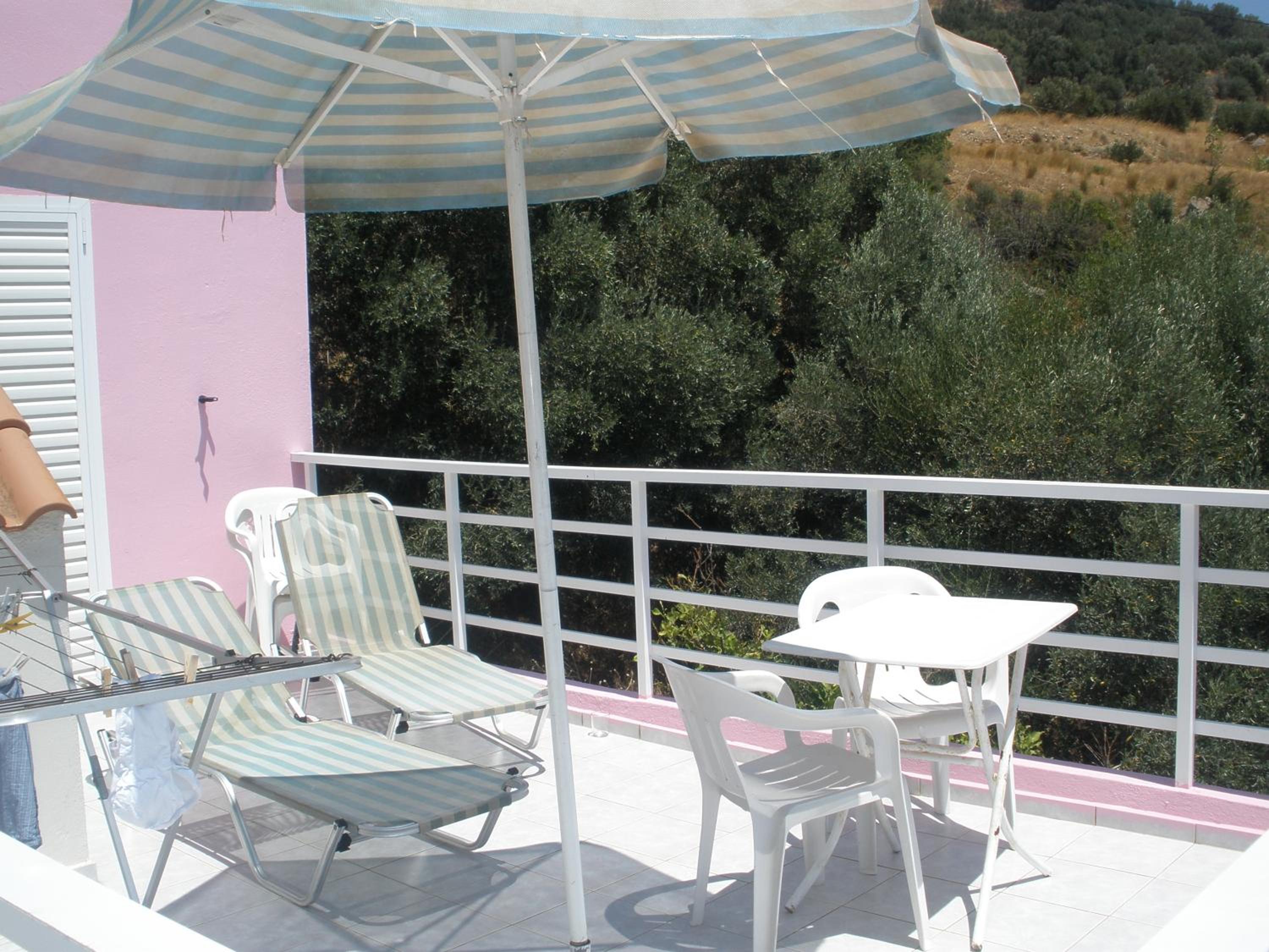 Camelia view 5