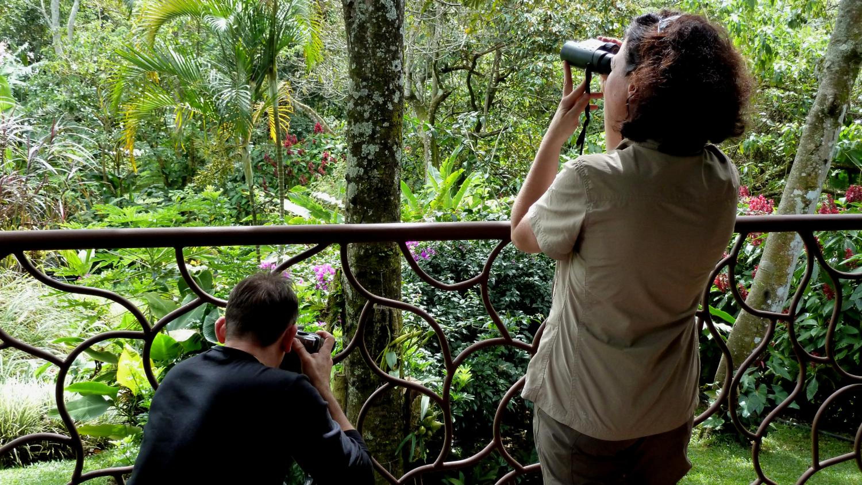 Tacacori EcoLodge