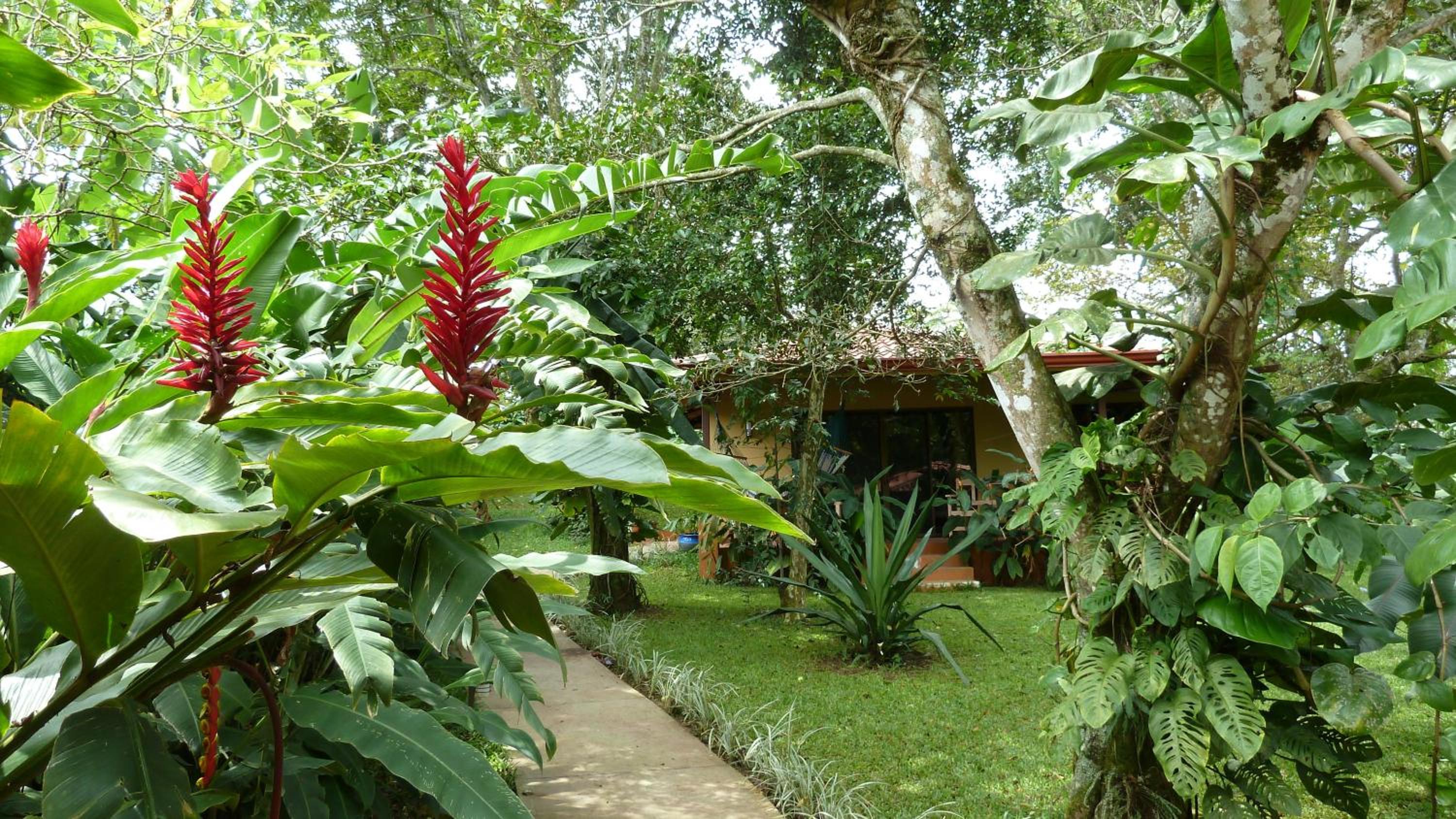 Tacacori EcoLodge