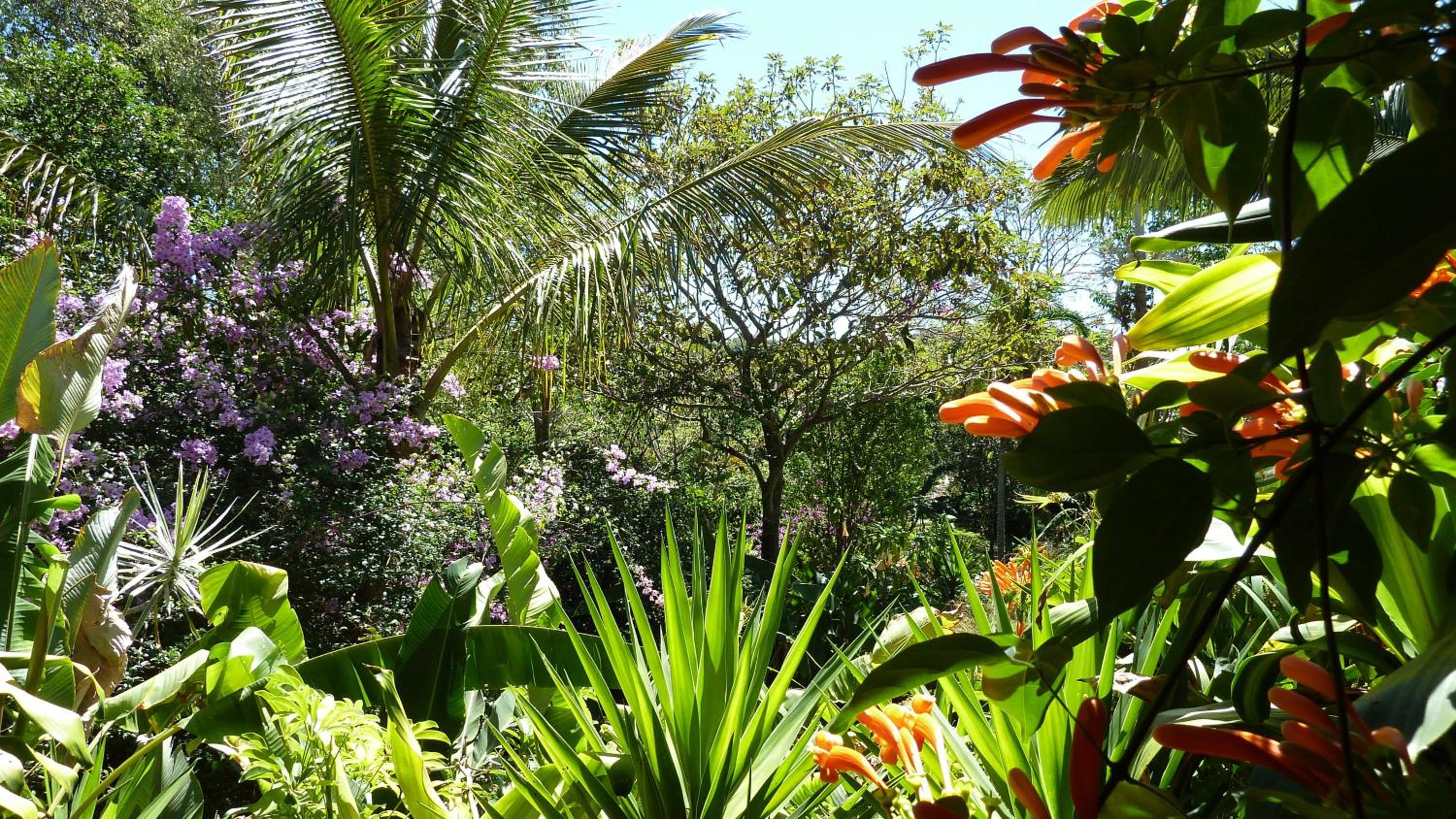Tacacori EcoLodge