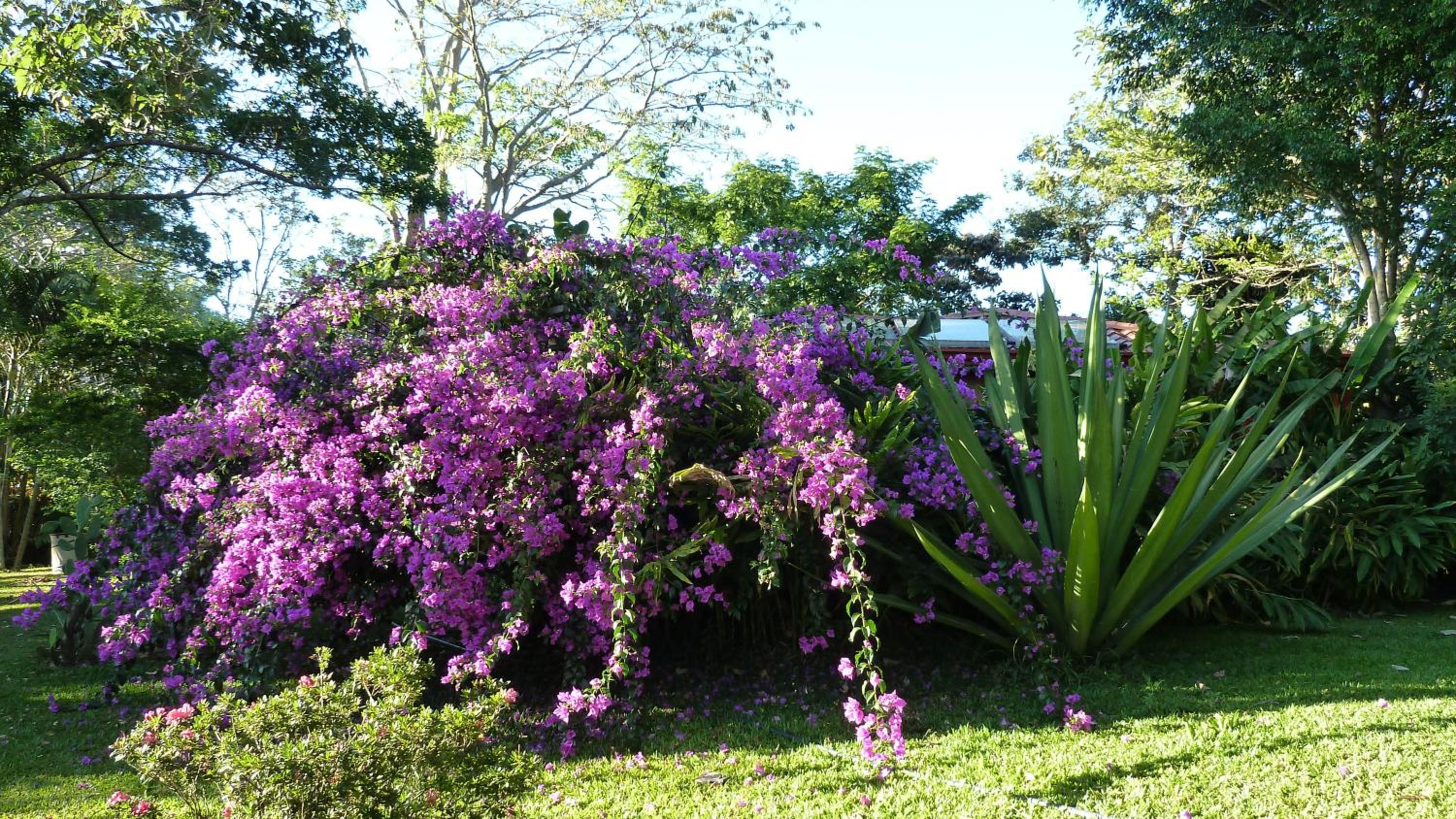 Tacacori EcoLodge
