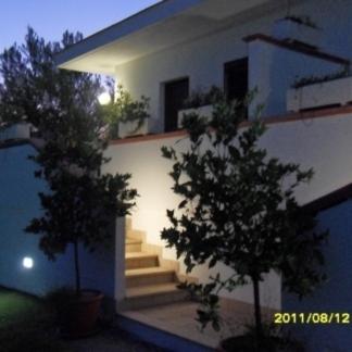 Photo 29