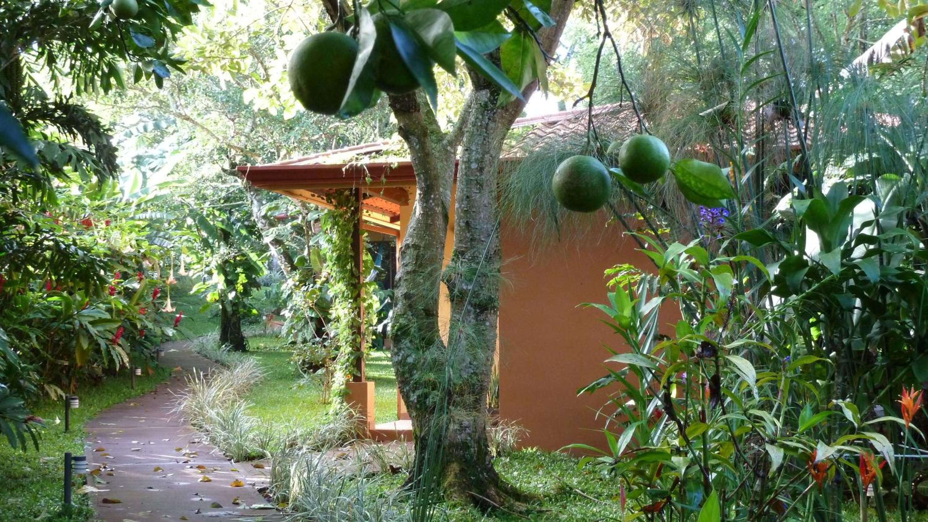 Tacacori EcoLodge
