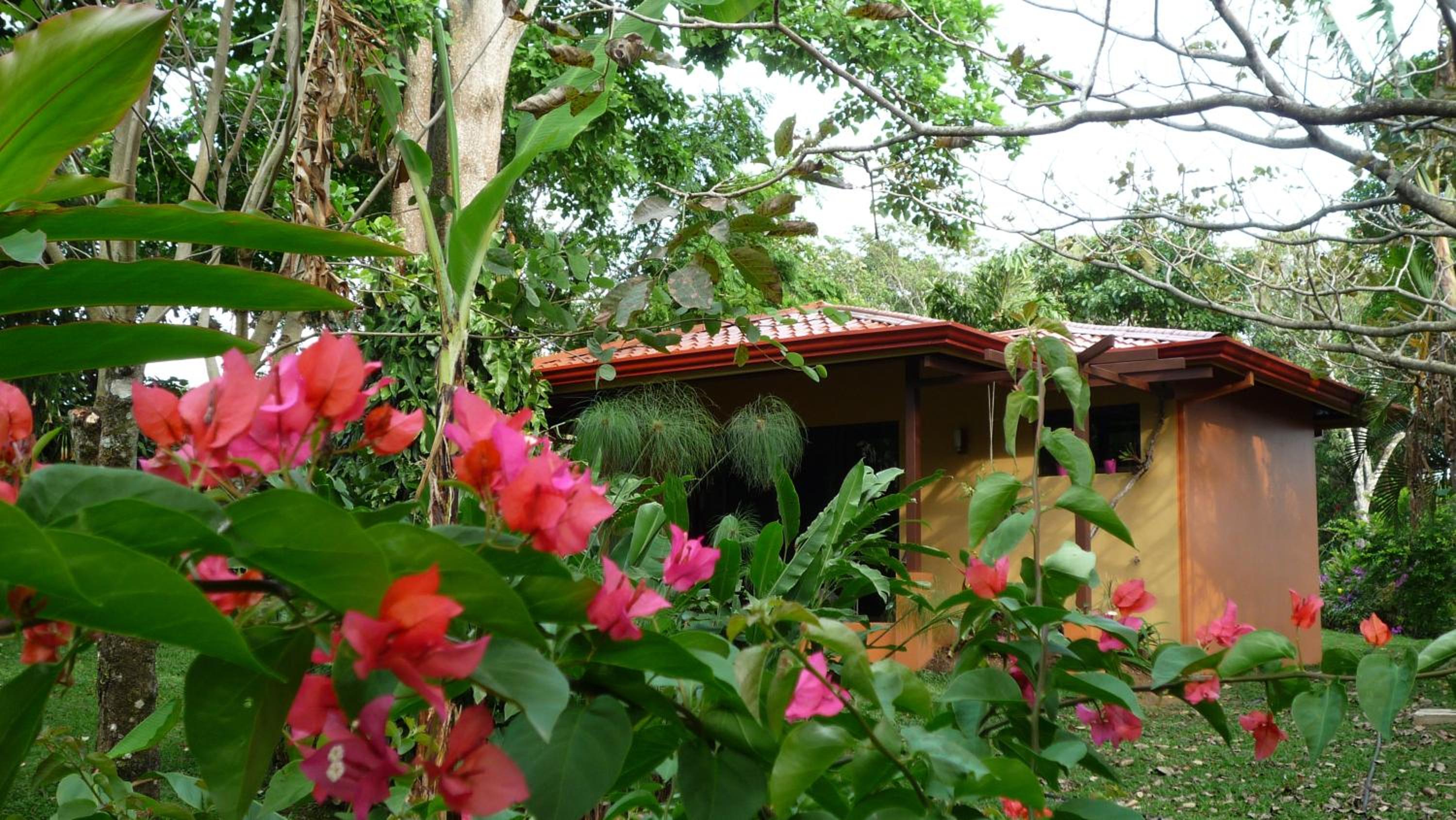 Tacacori EcoLodge
