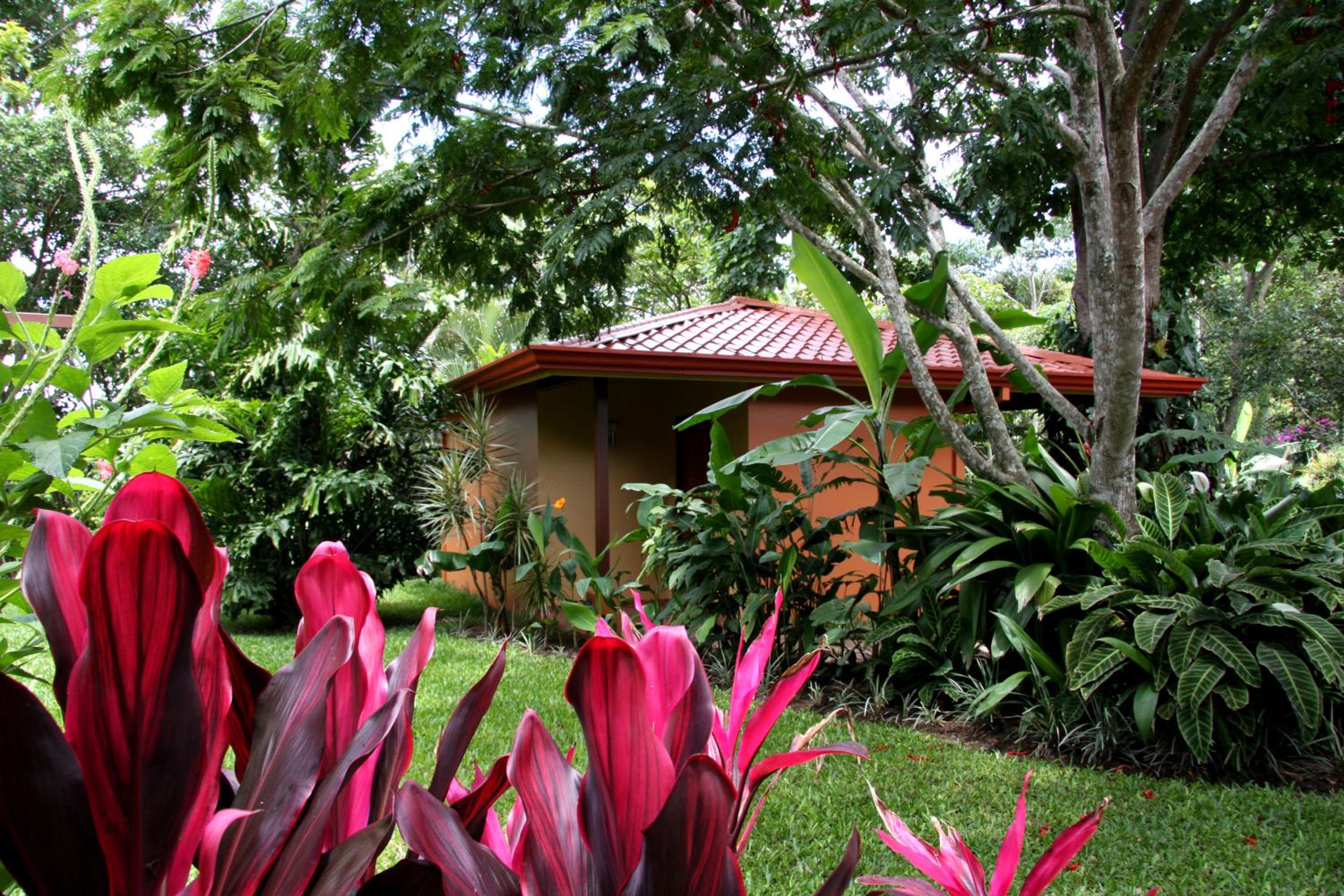 Tacacori EcoLodge